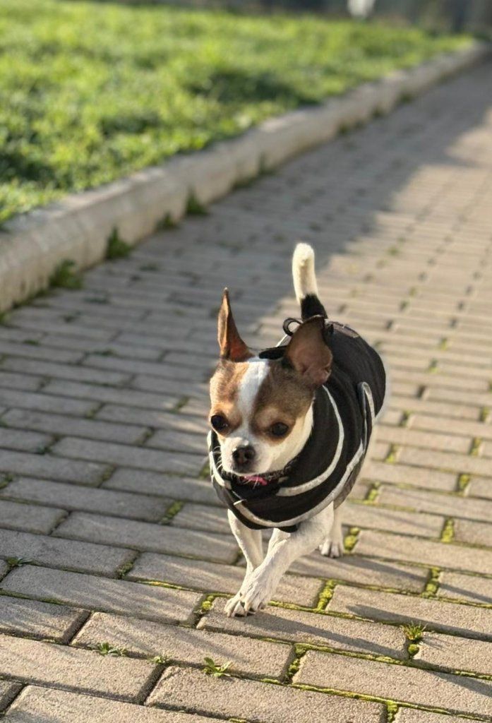 image-6