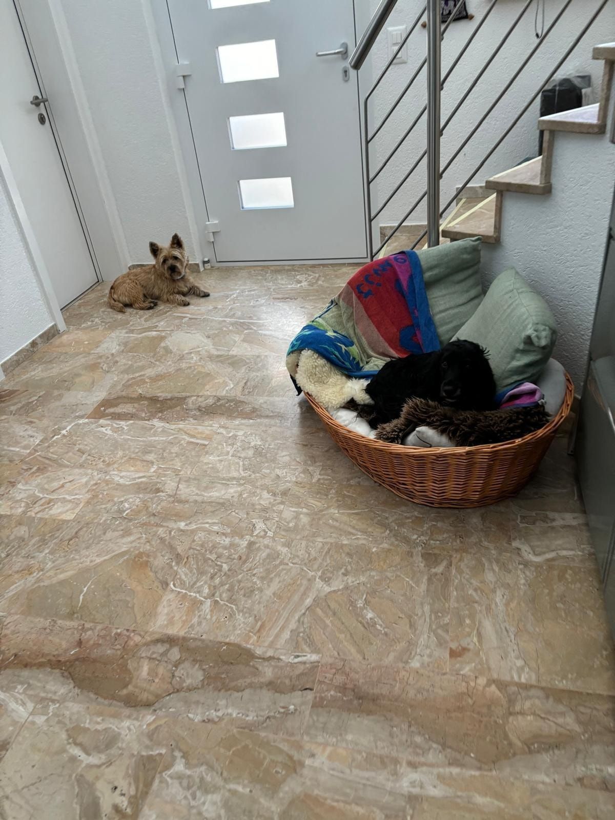 image-13
