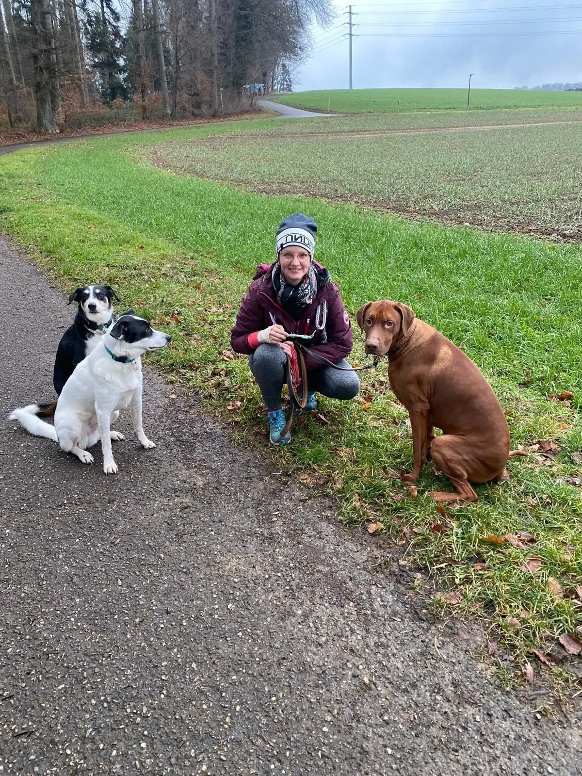 image-21