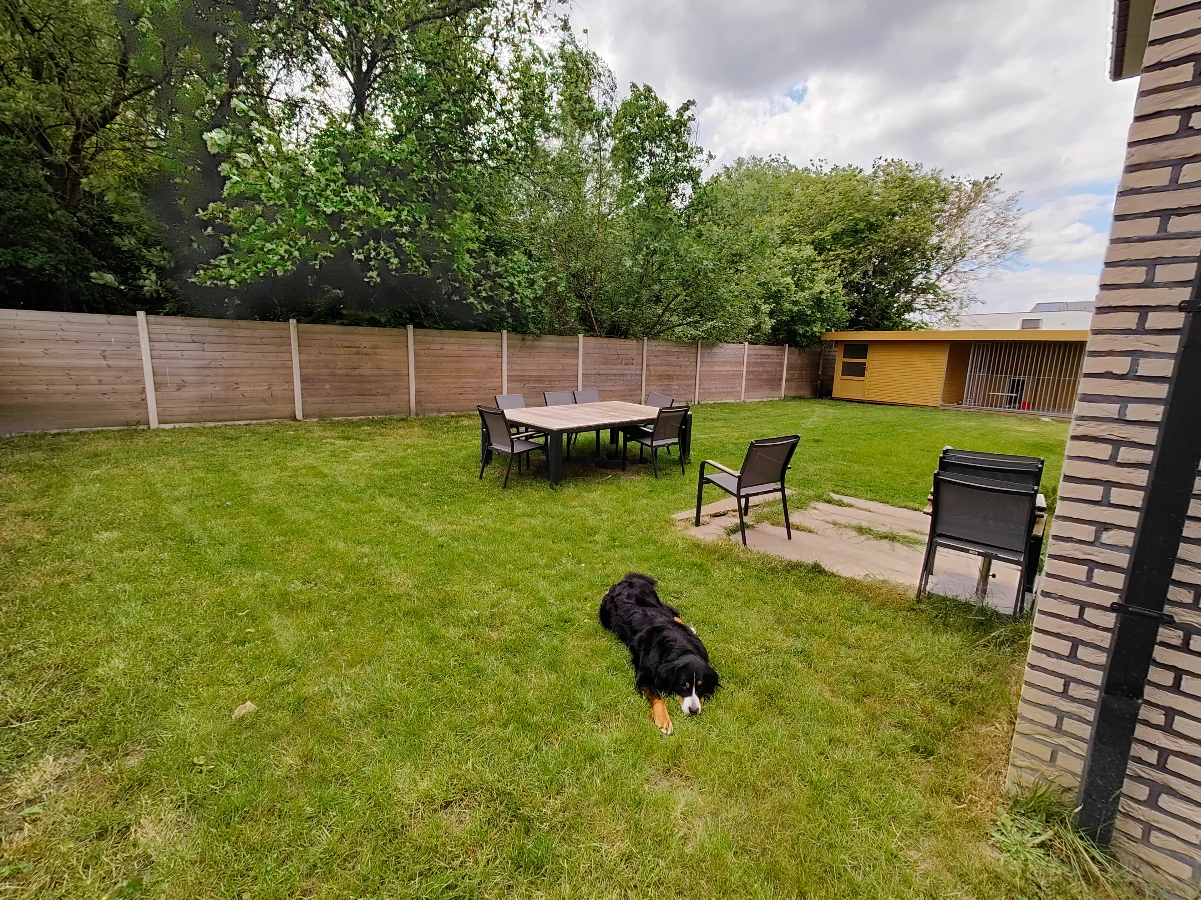 image-20