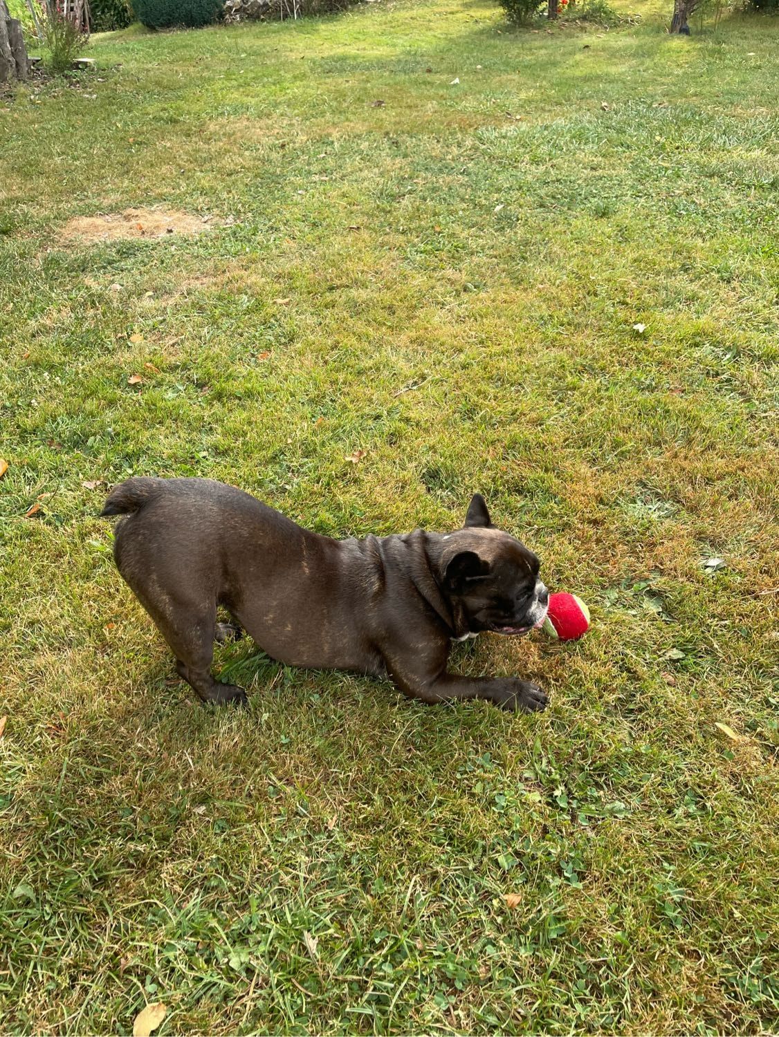 image-6