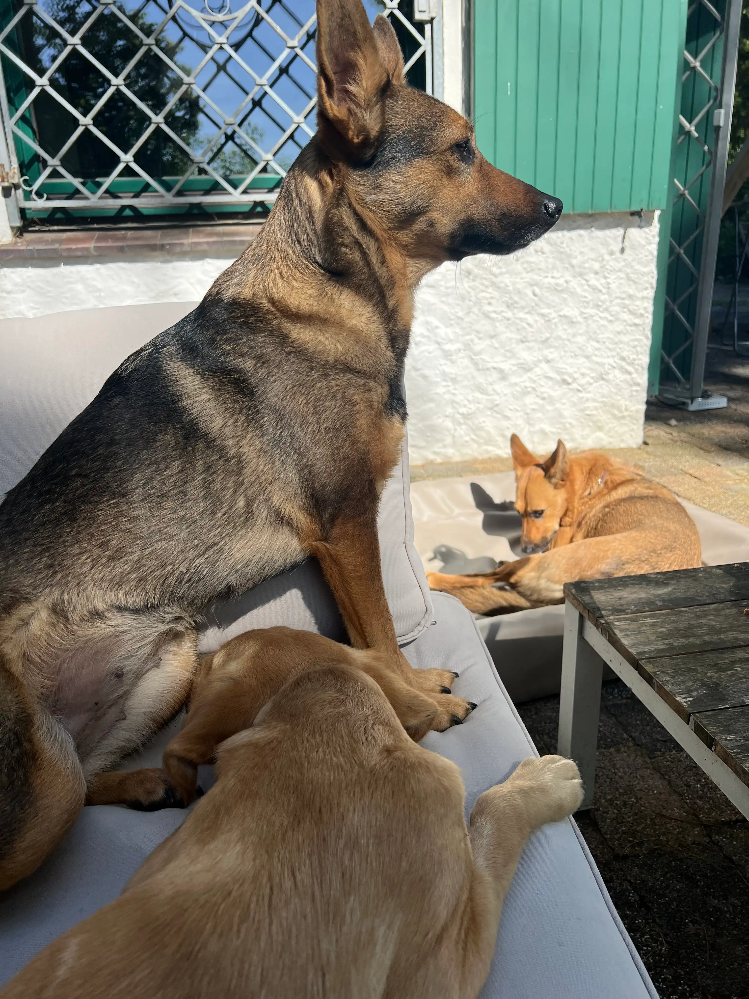 image-16