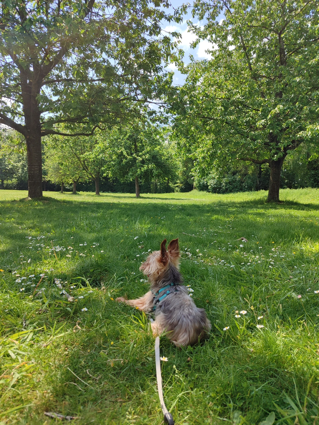 image-6