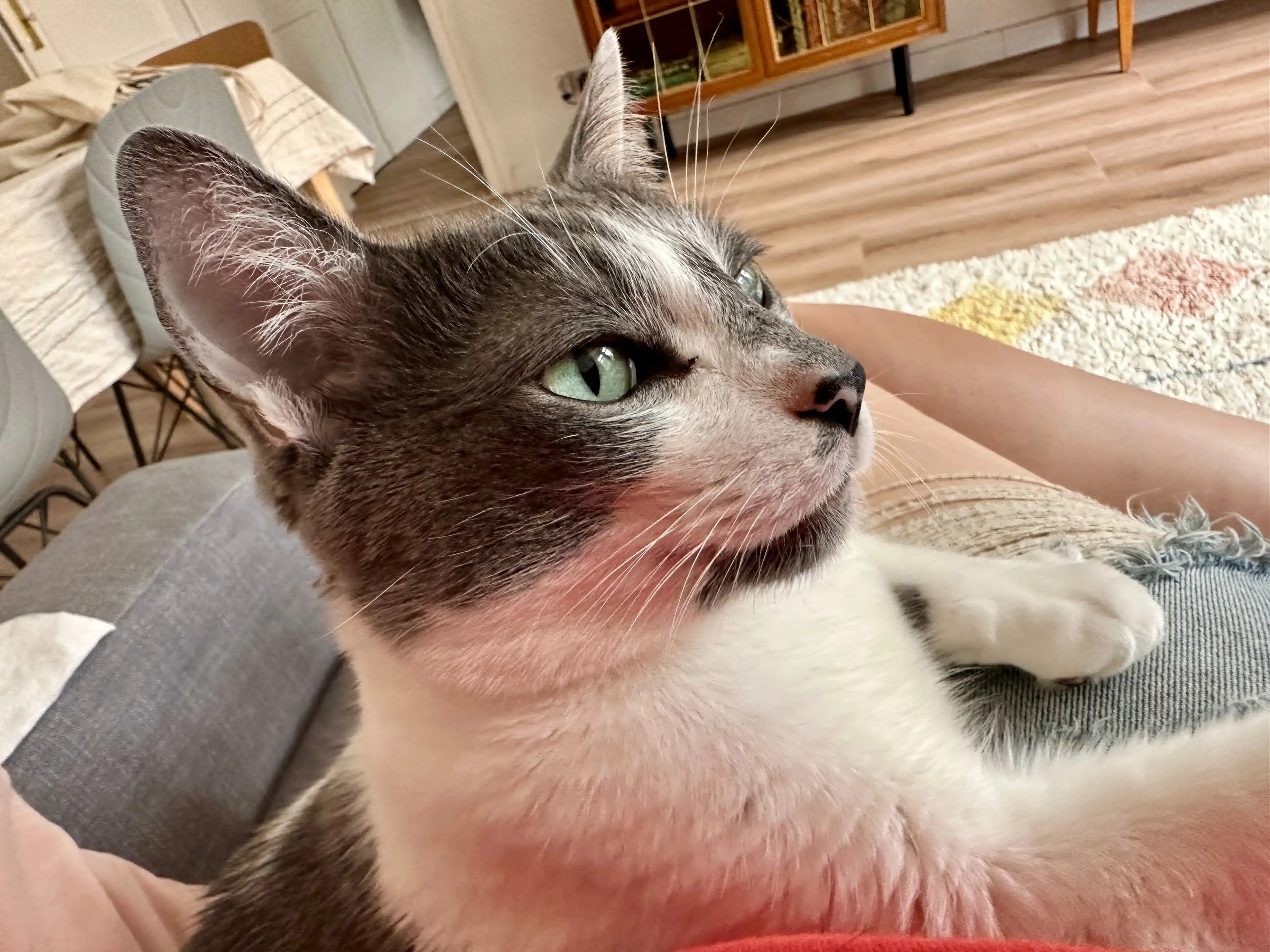 image-10