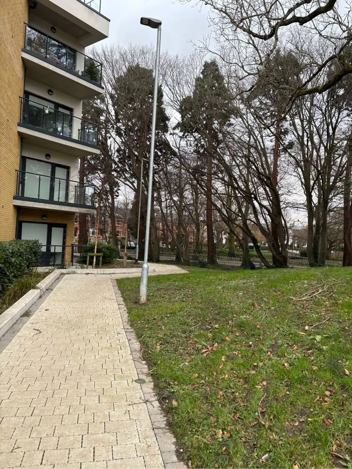 image-19