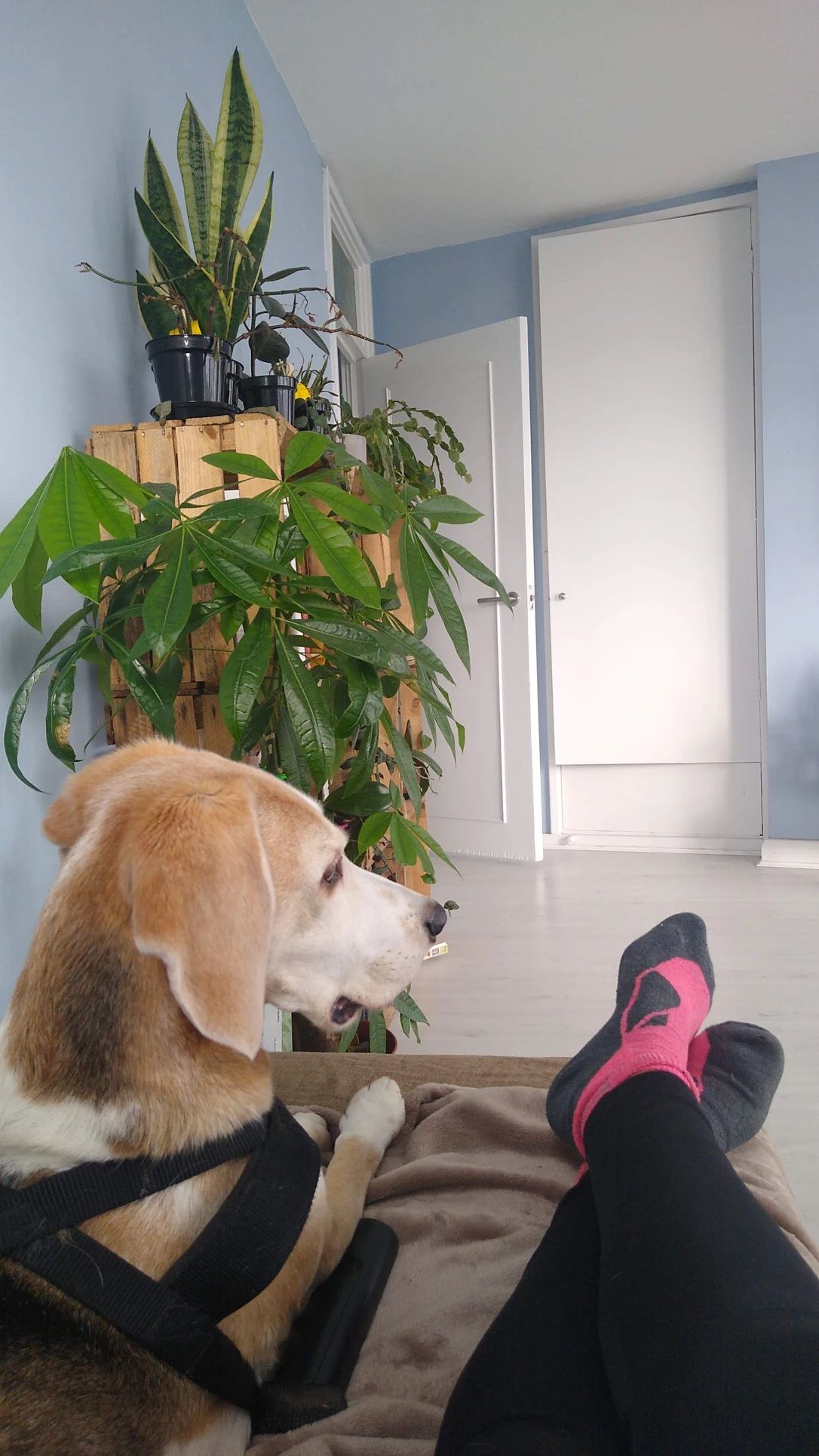 image-4