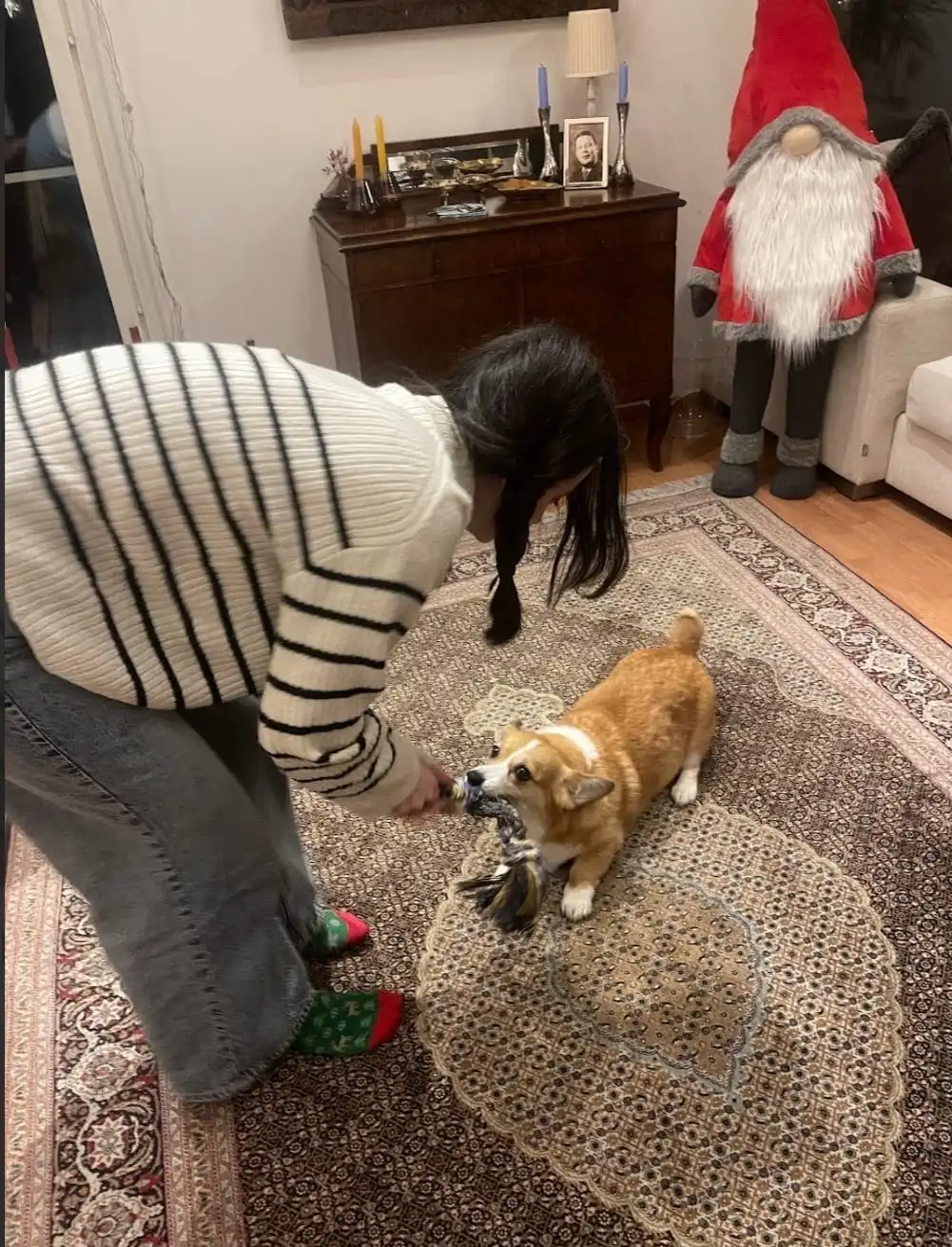 image-17
