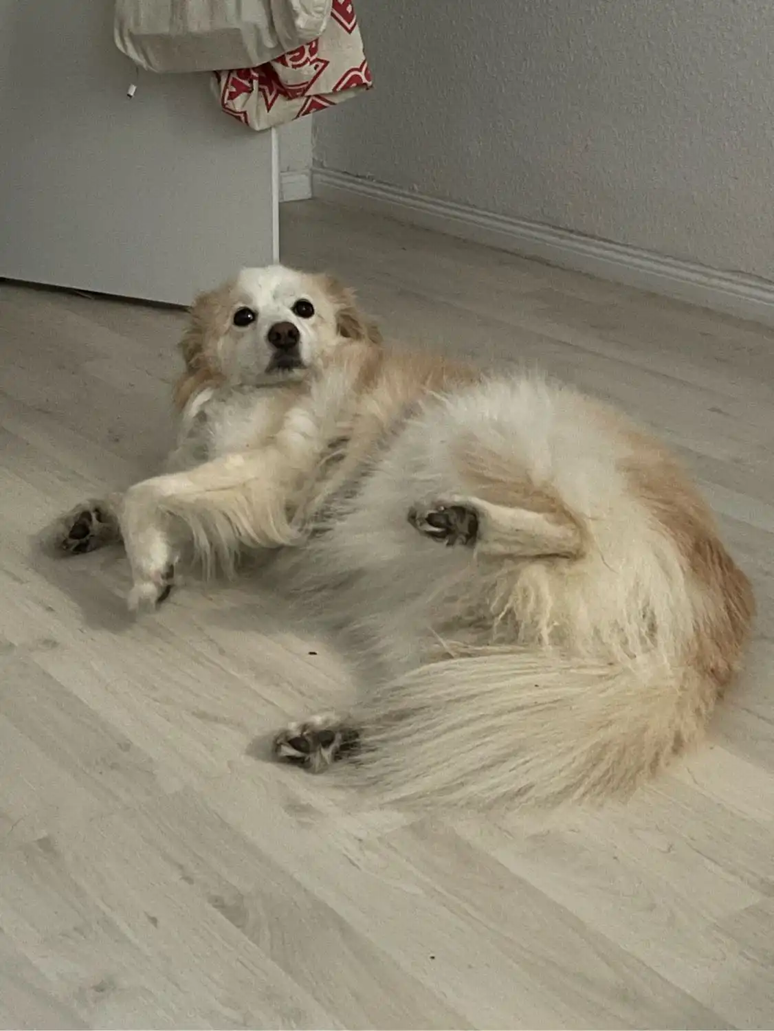 image-18
