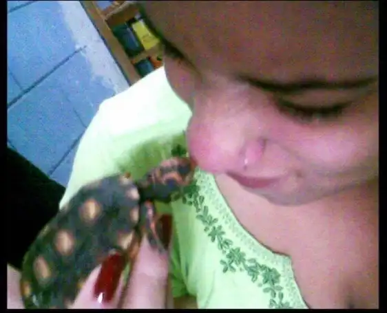 image-5