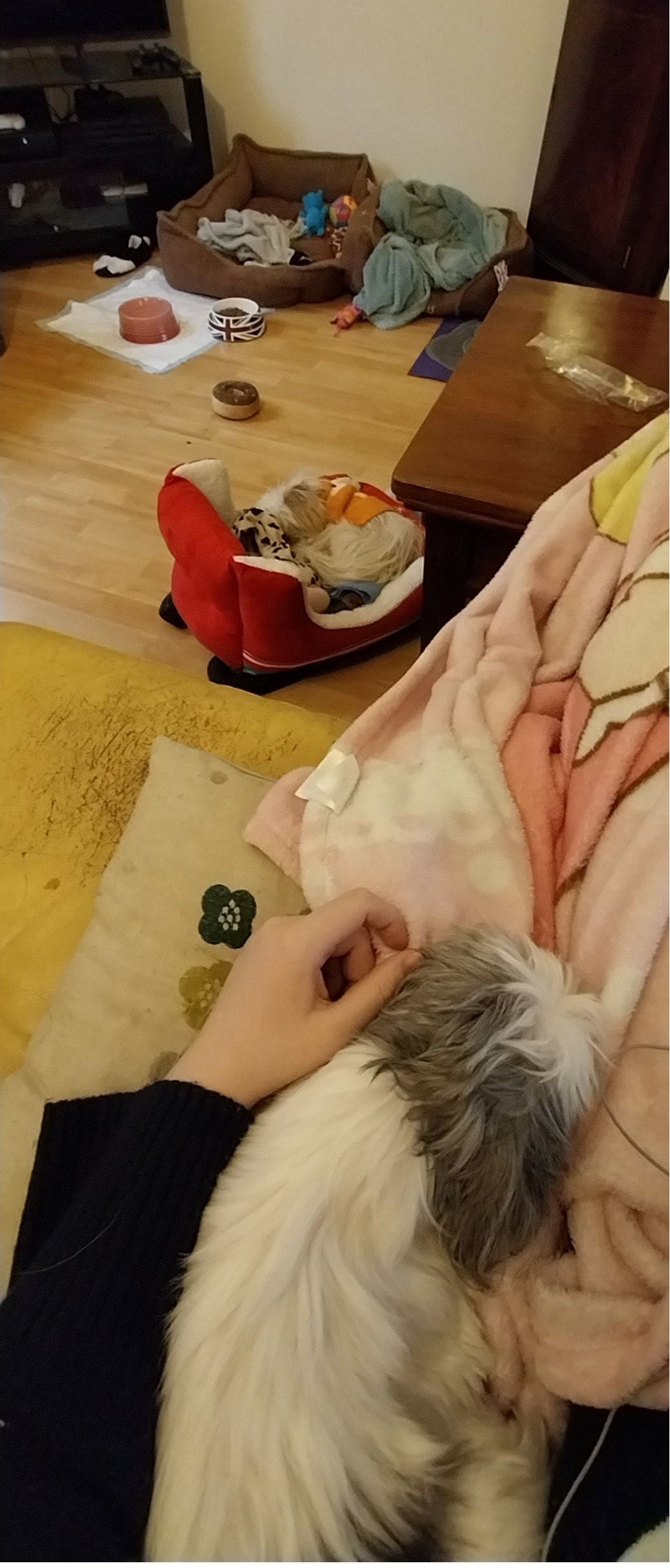 image-8