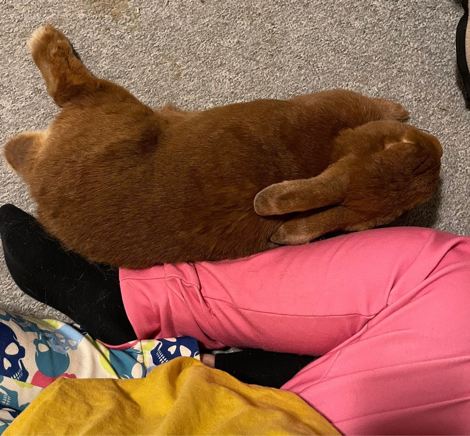 image-4