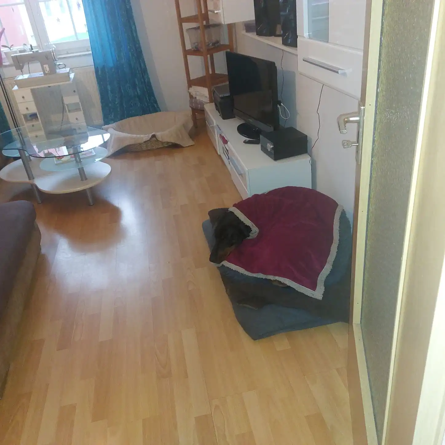 image-14
