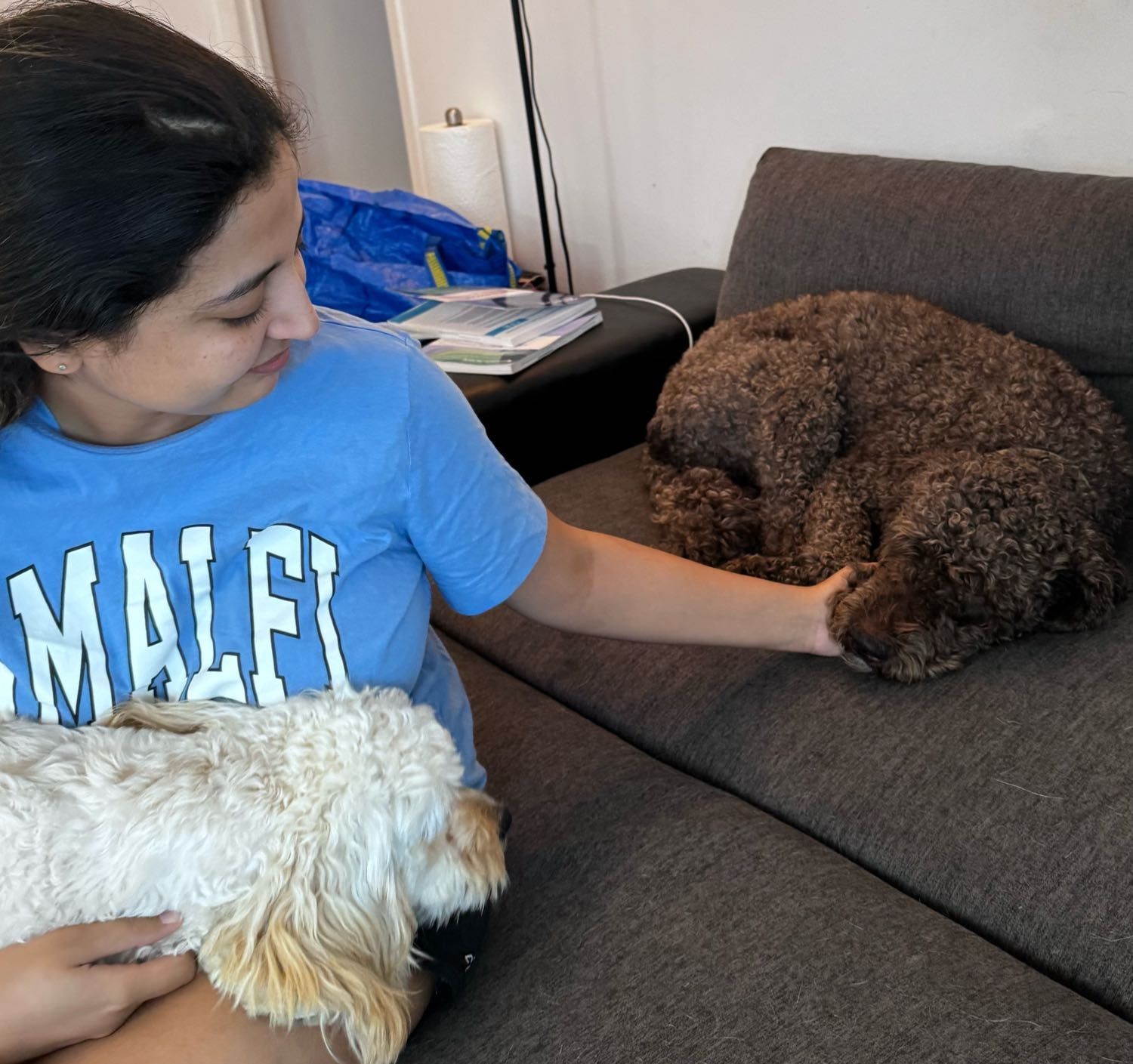 image-12