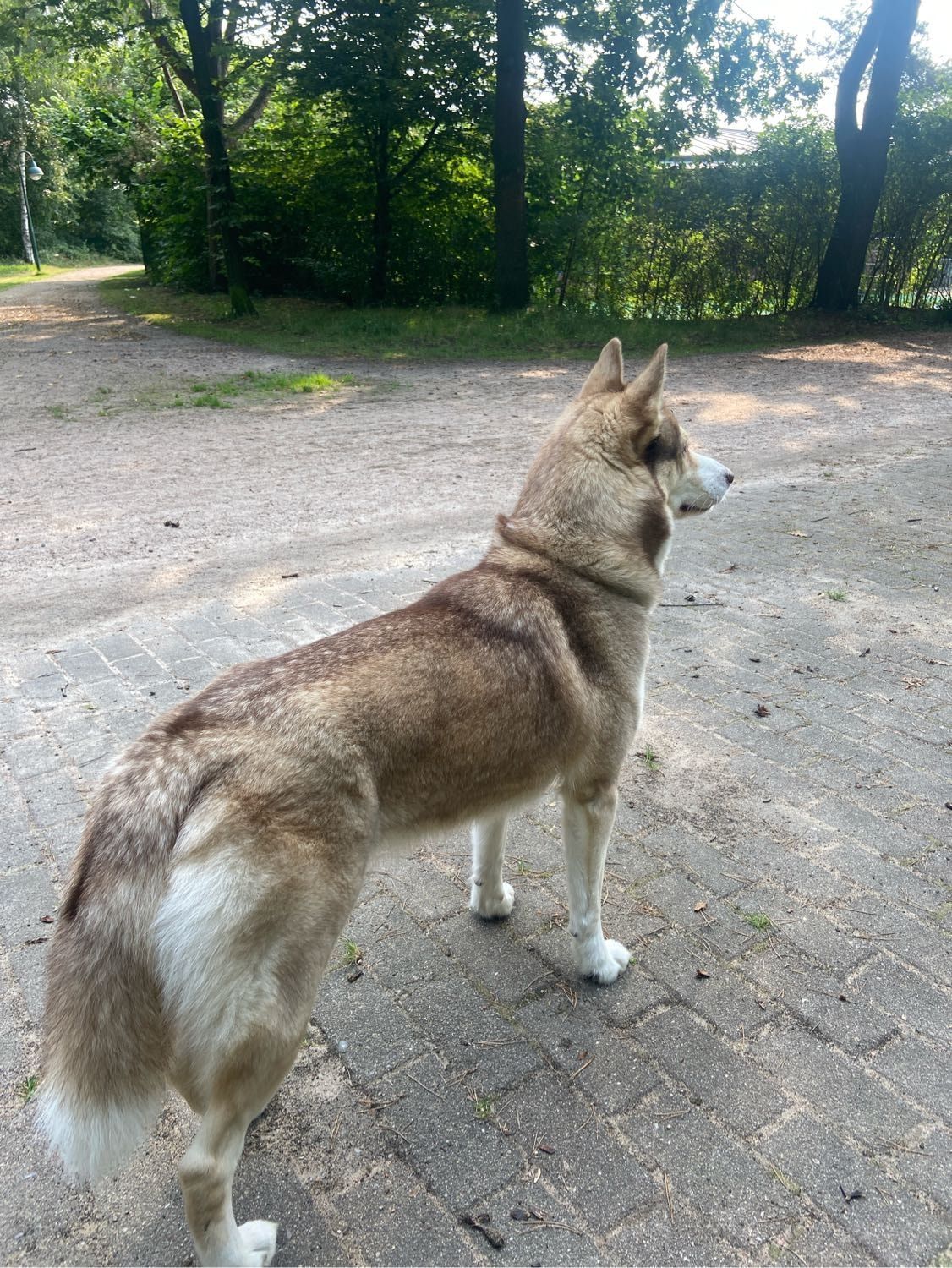 image-10
