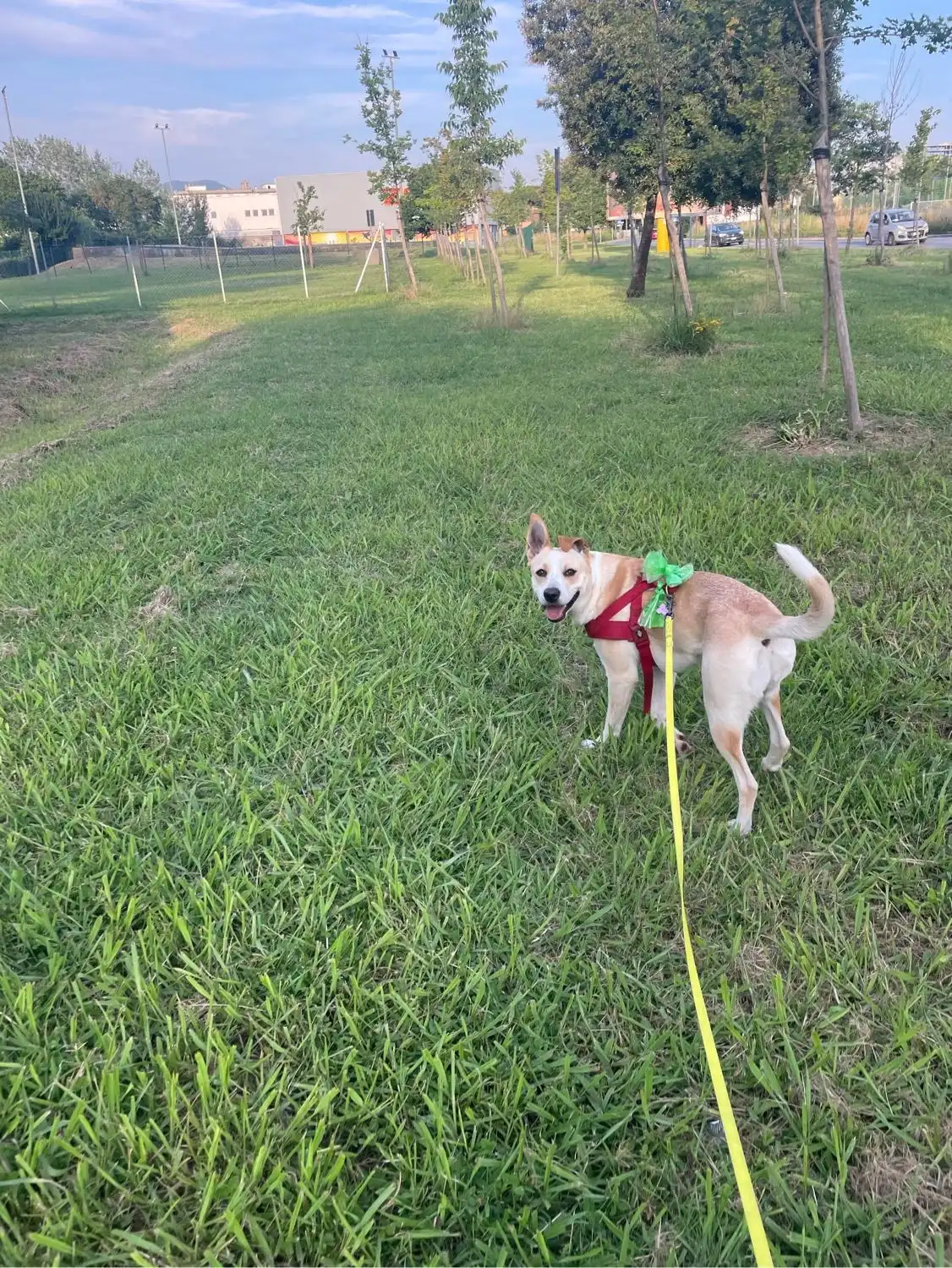 image-6