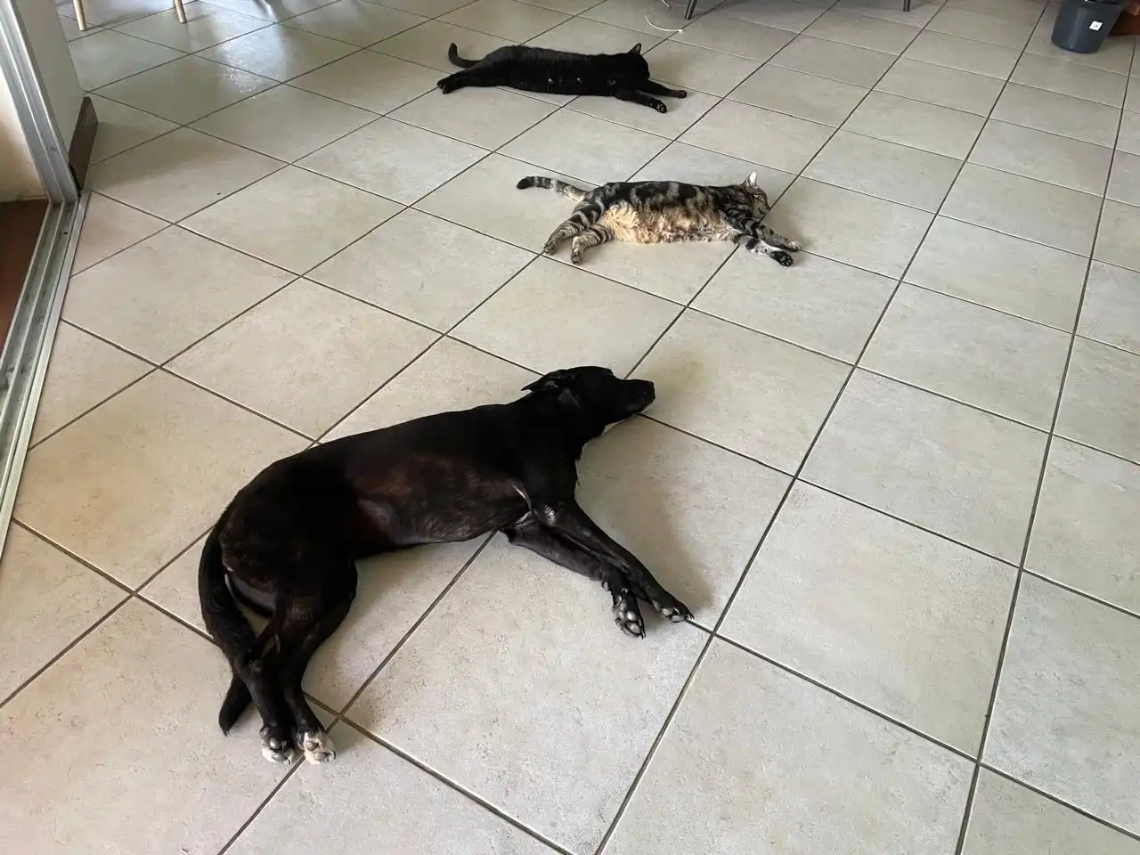 image-7