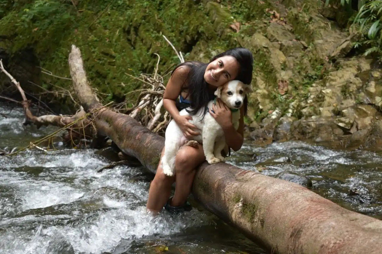 image-5