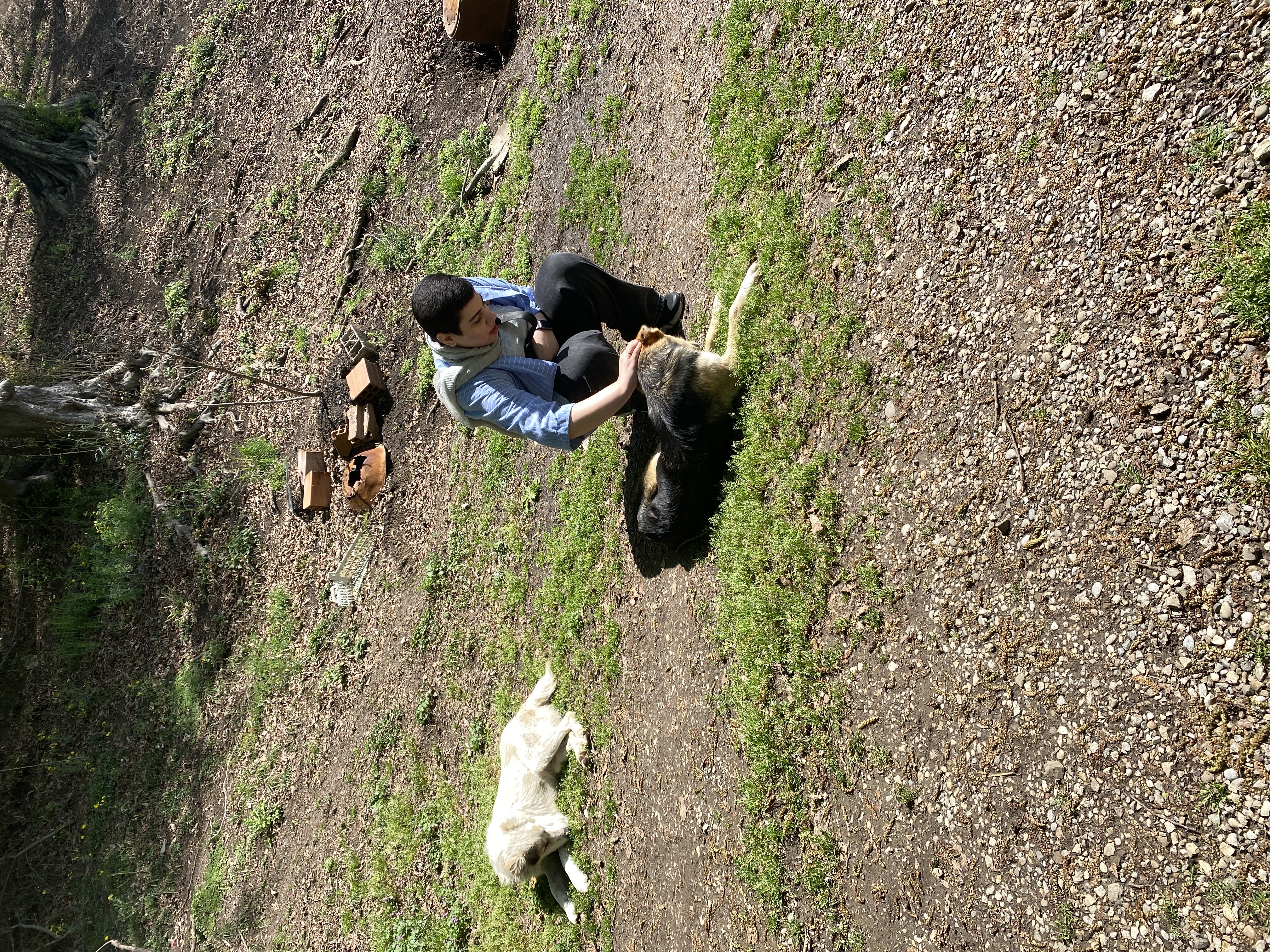 image-4