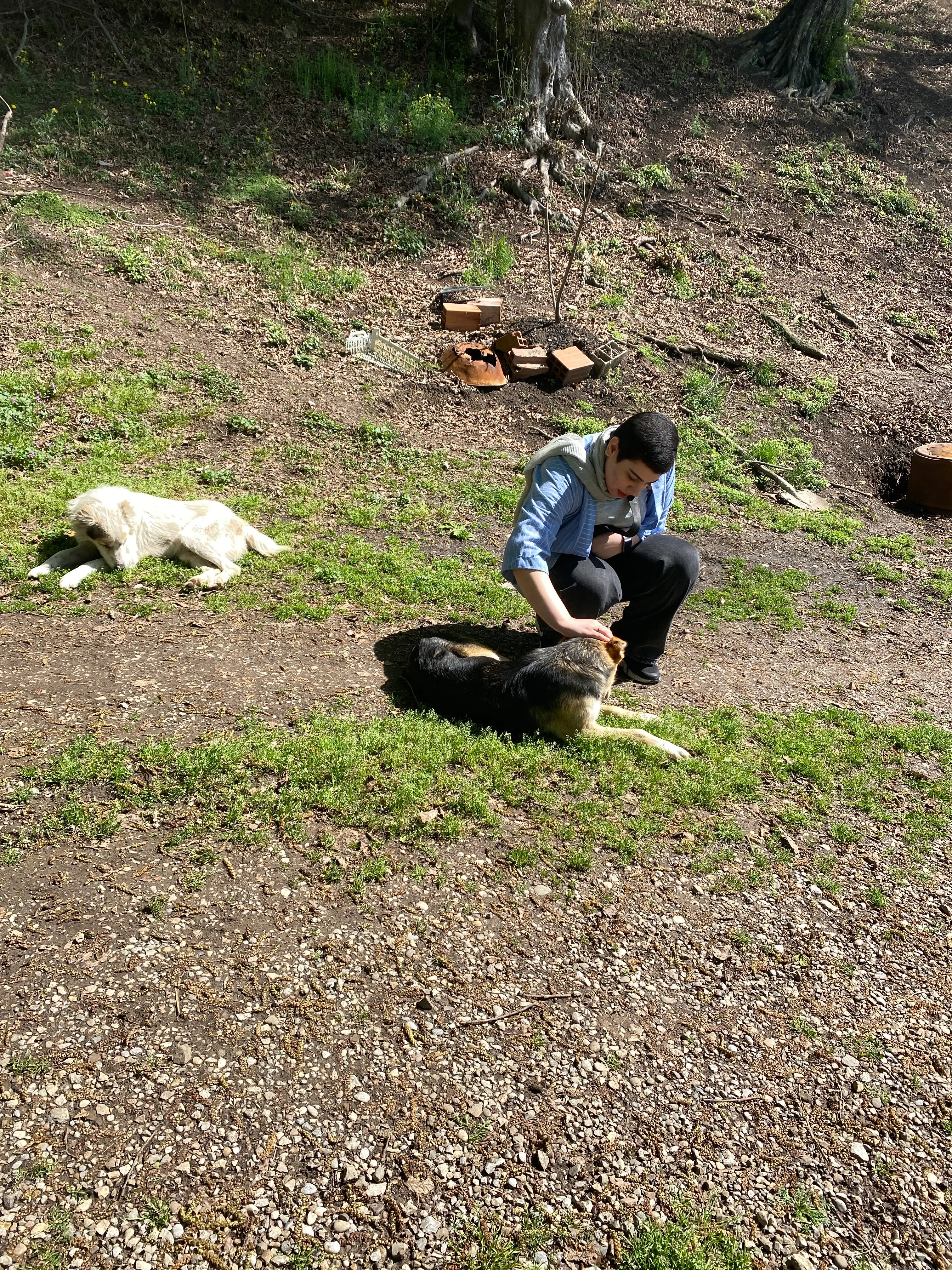 image-4