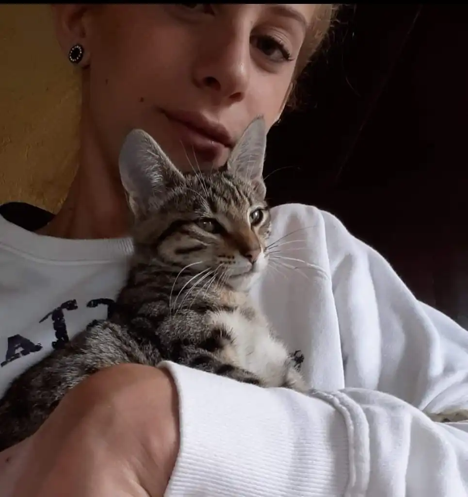image-6