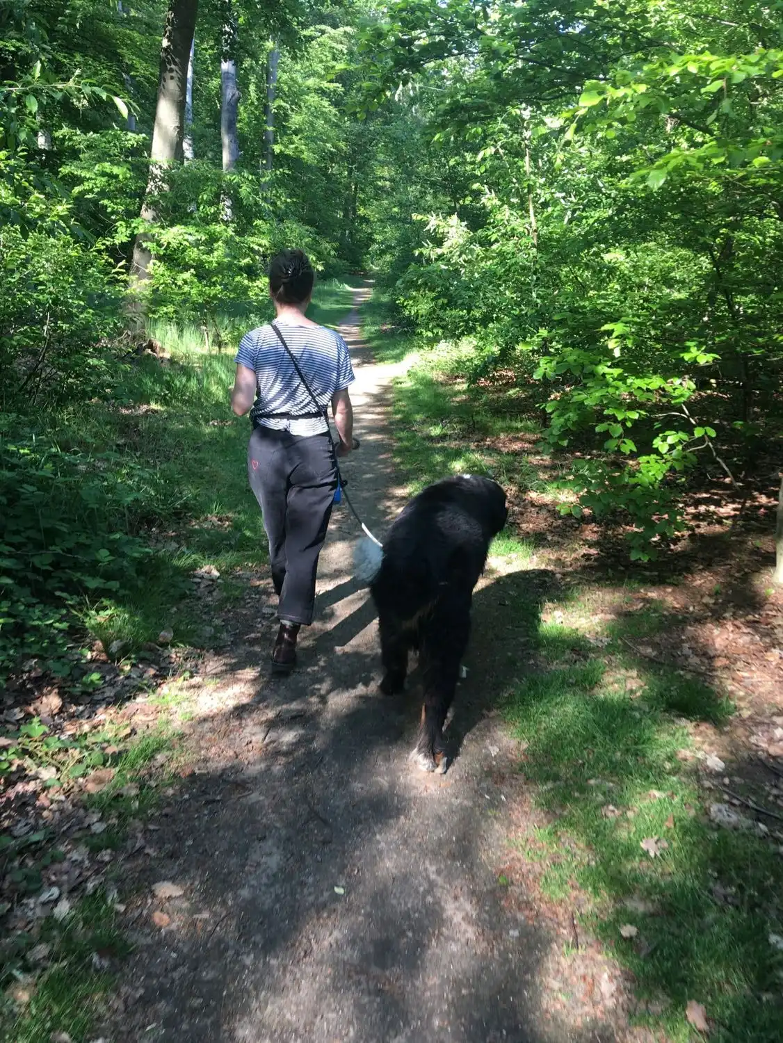 image-5