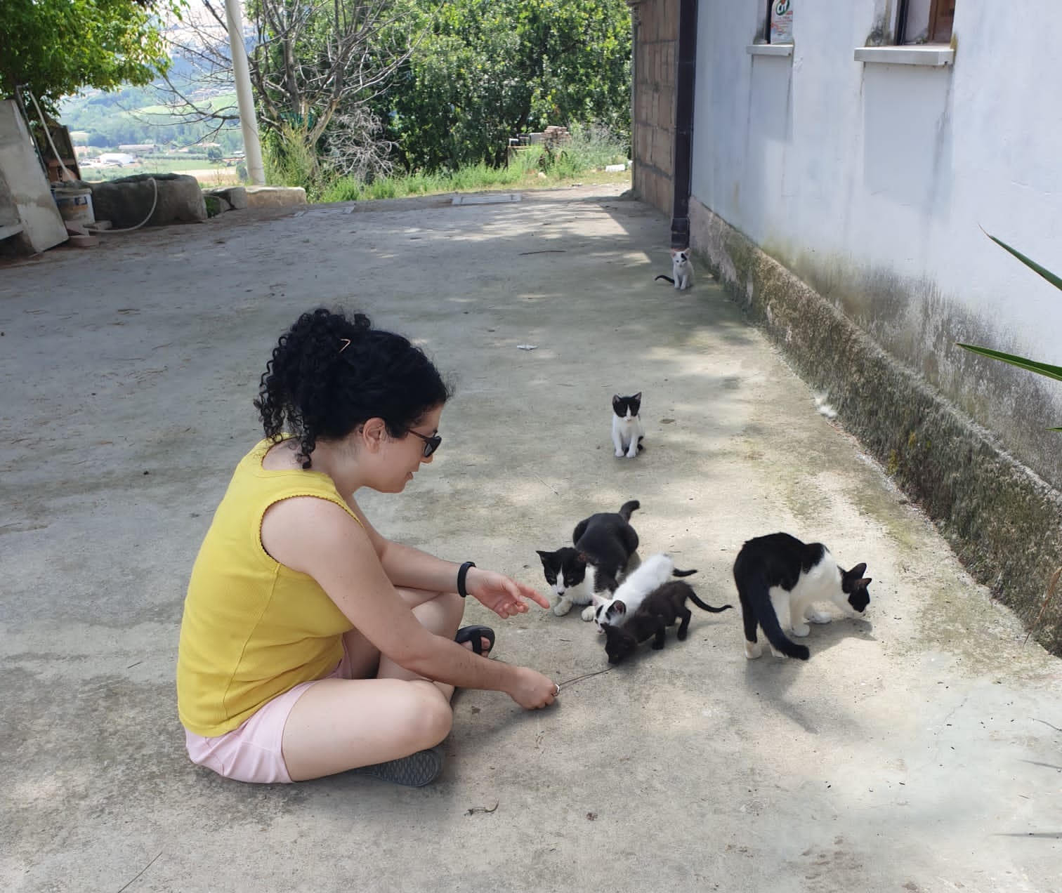 image-4