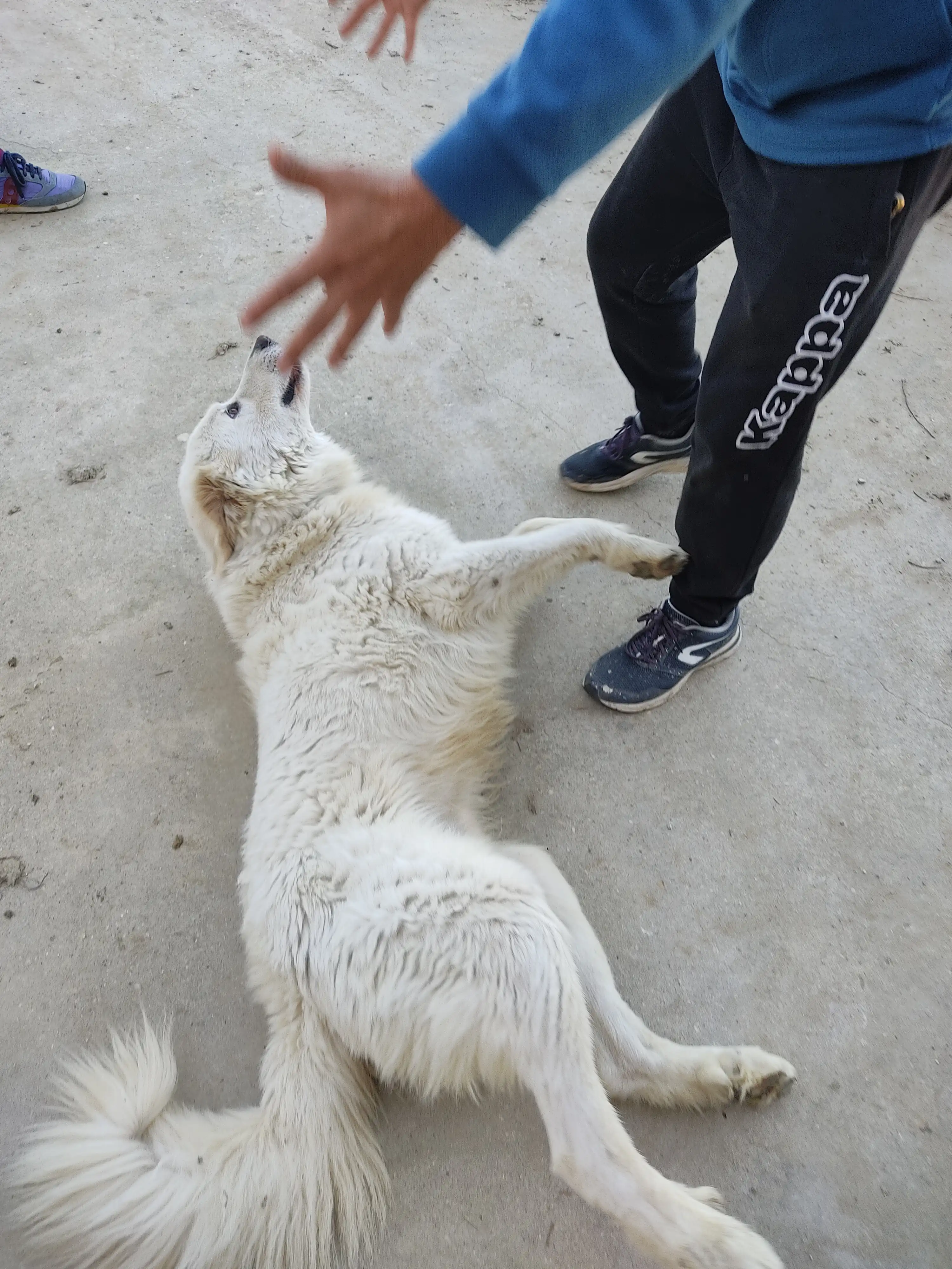 image-10
