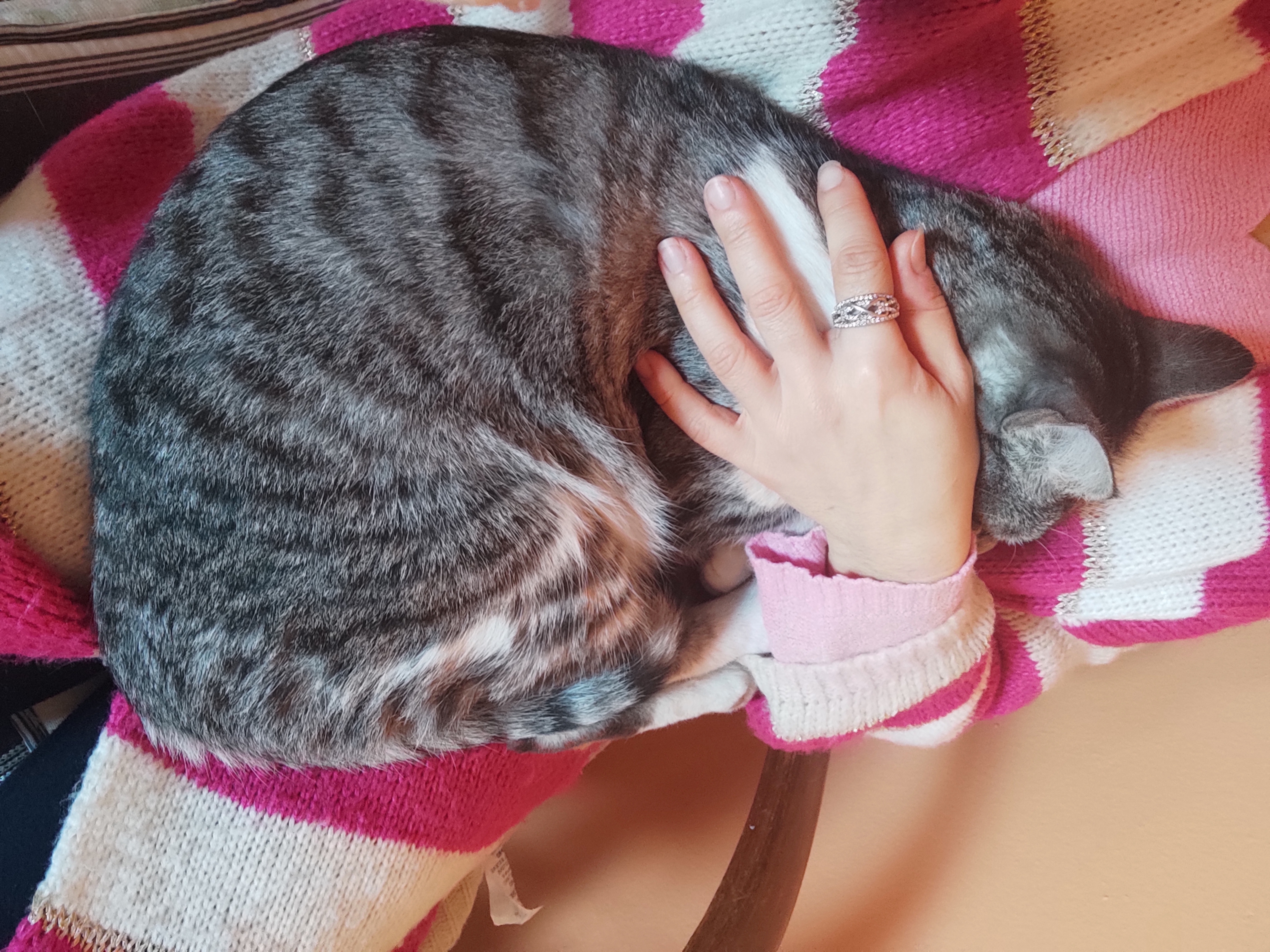 image-9