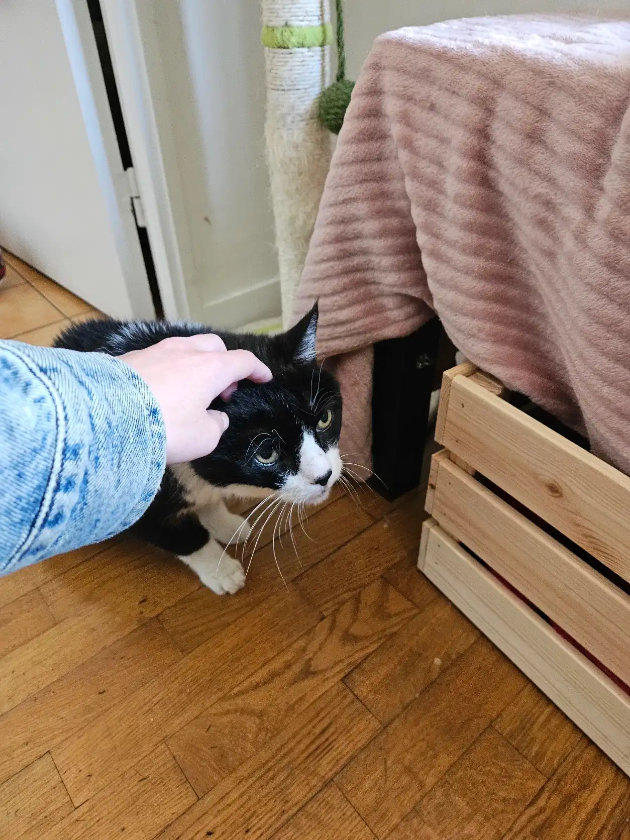 image-6
