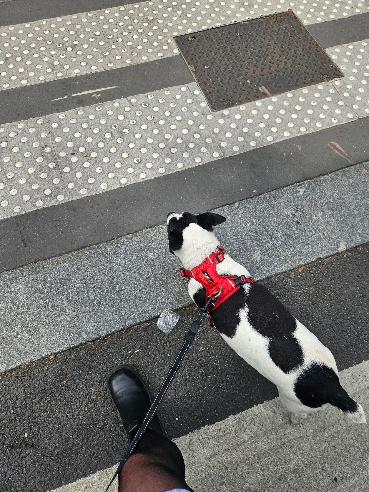 image-11