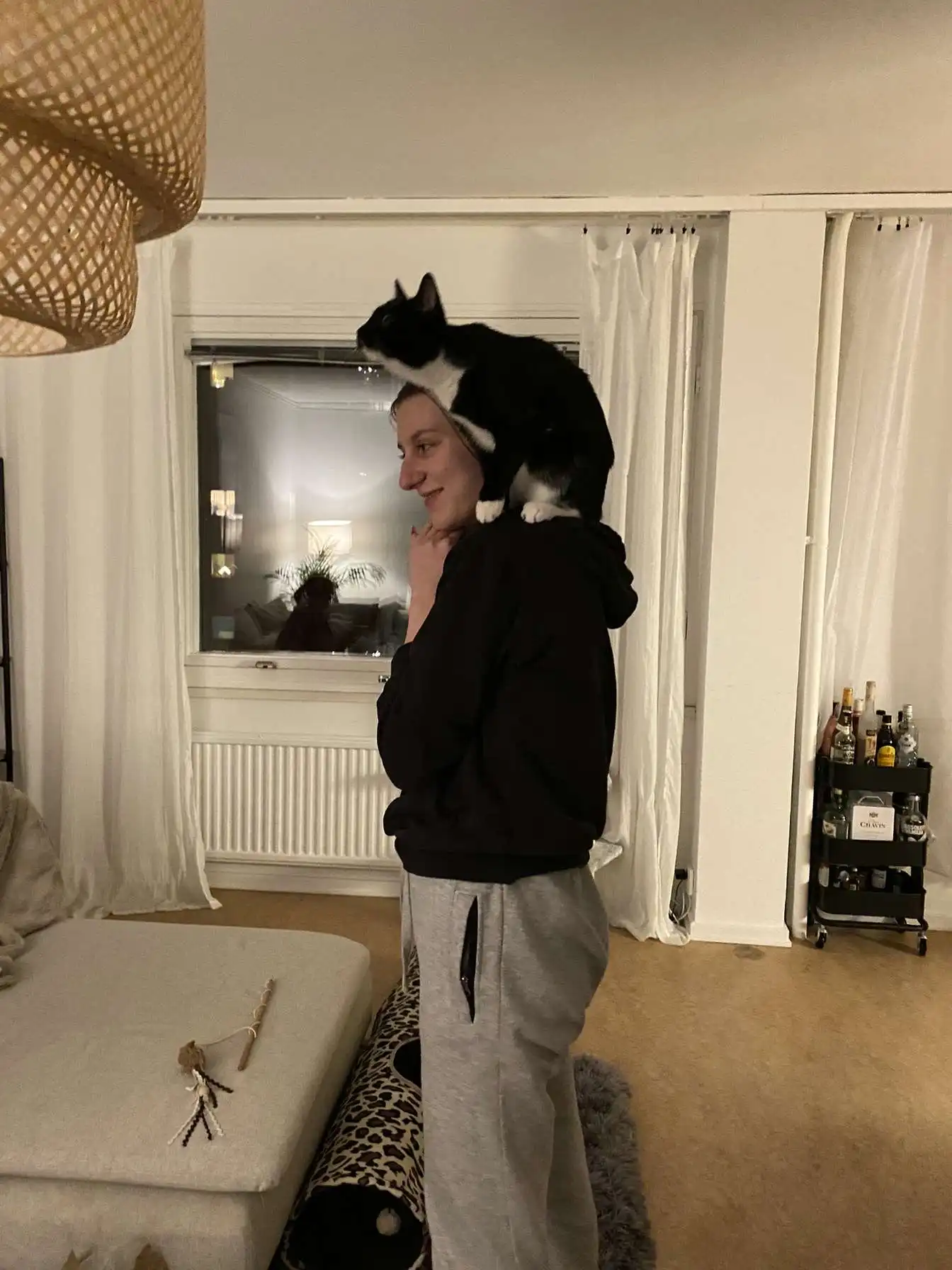 image-8