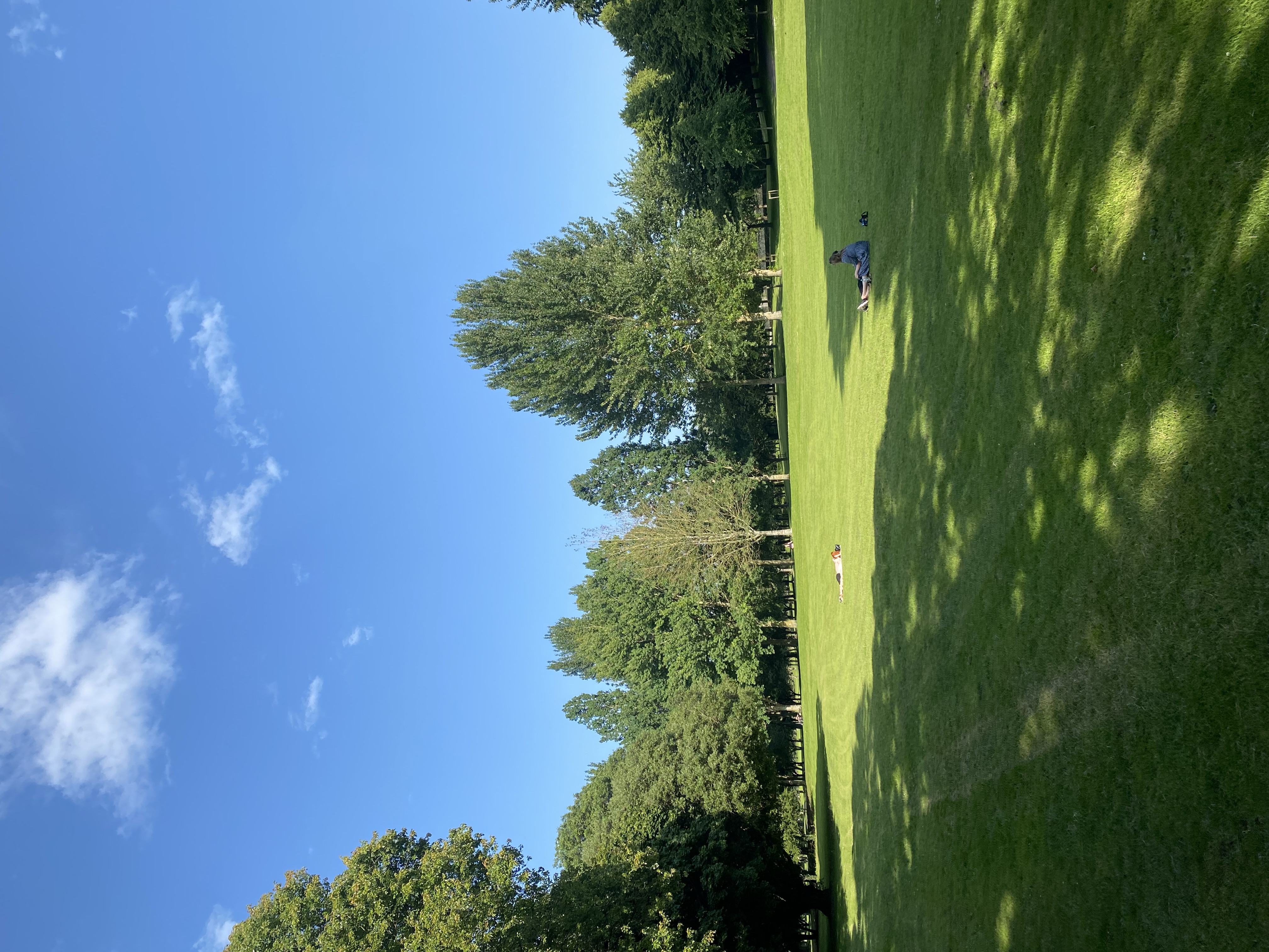 image-28