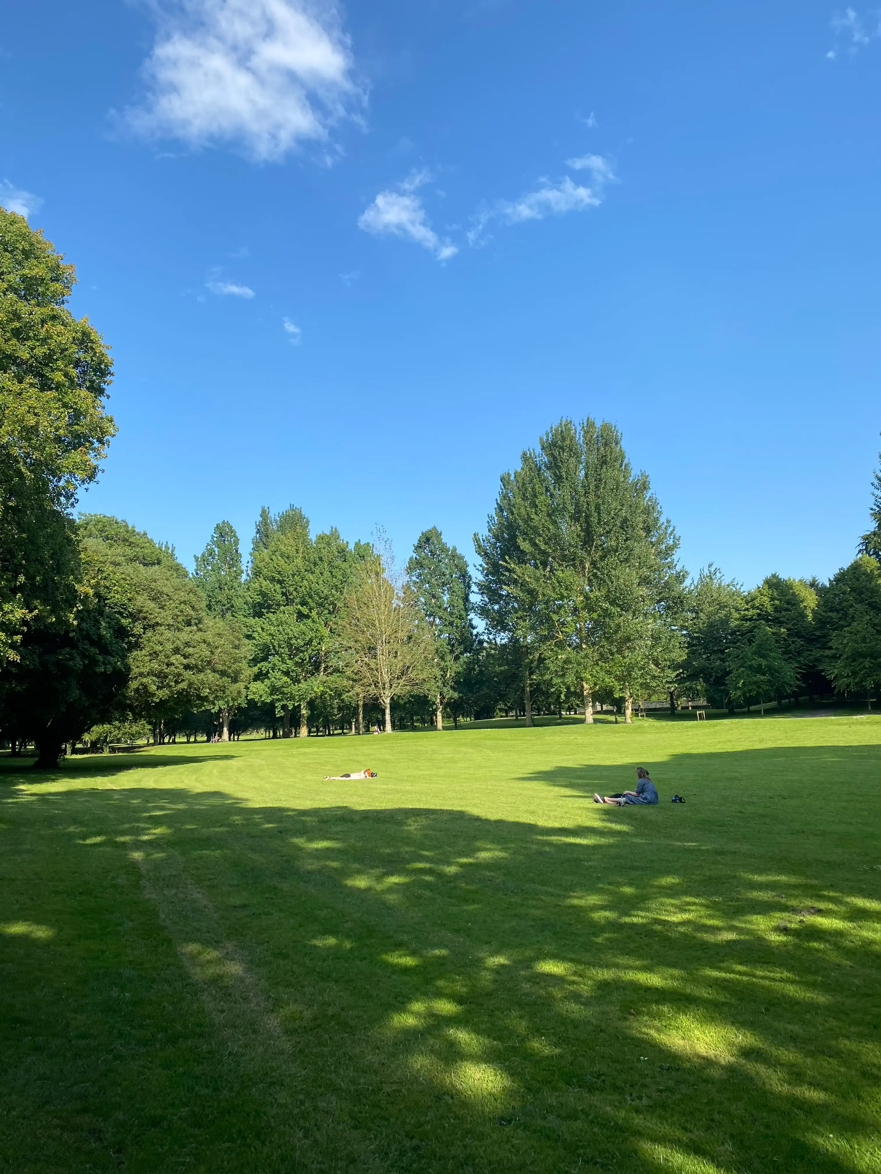 image-28