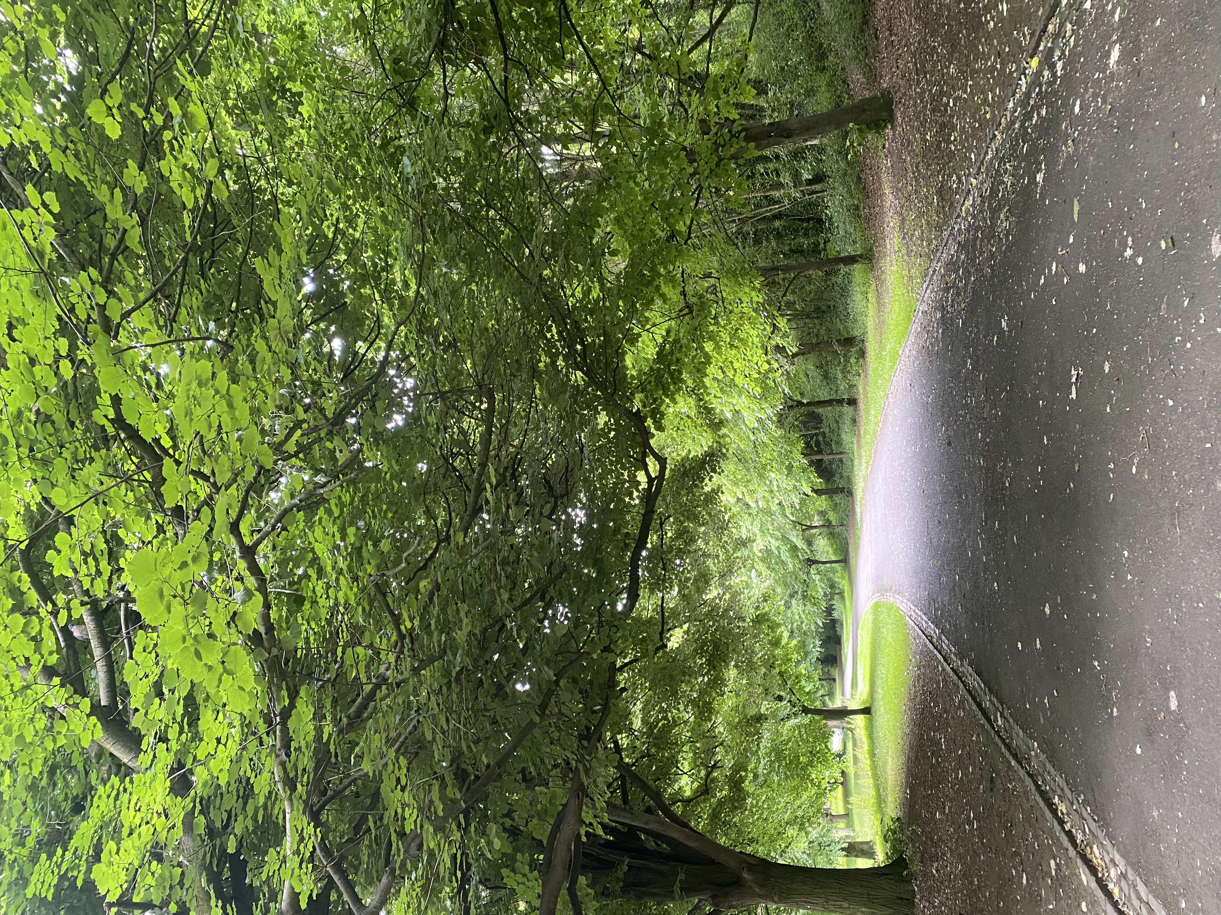 image-27