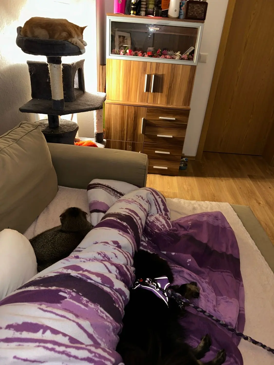 image-2