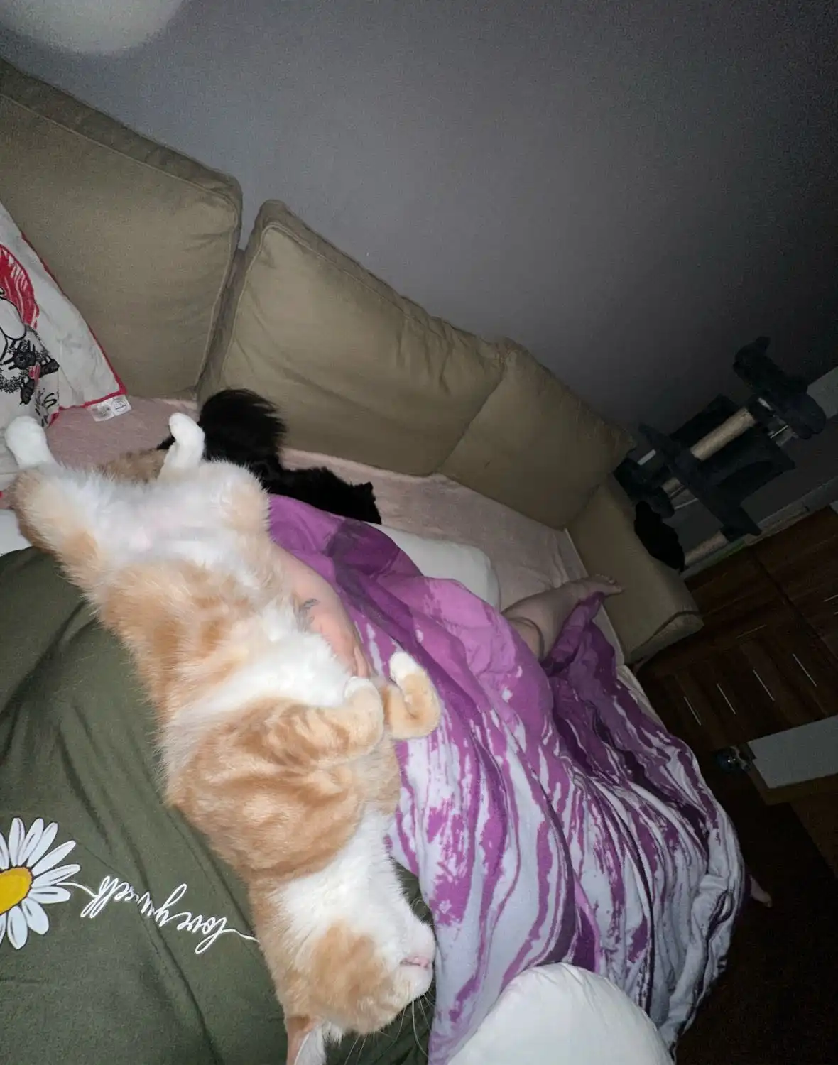 image-5