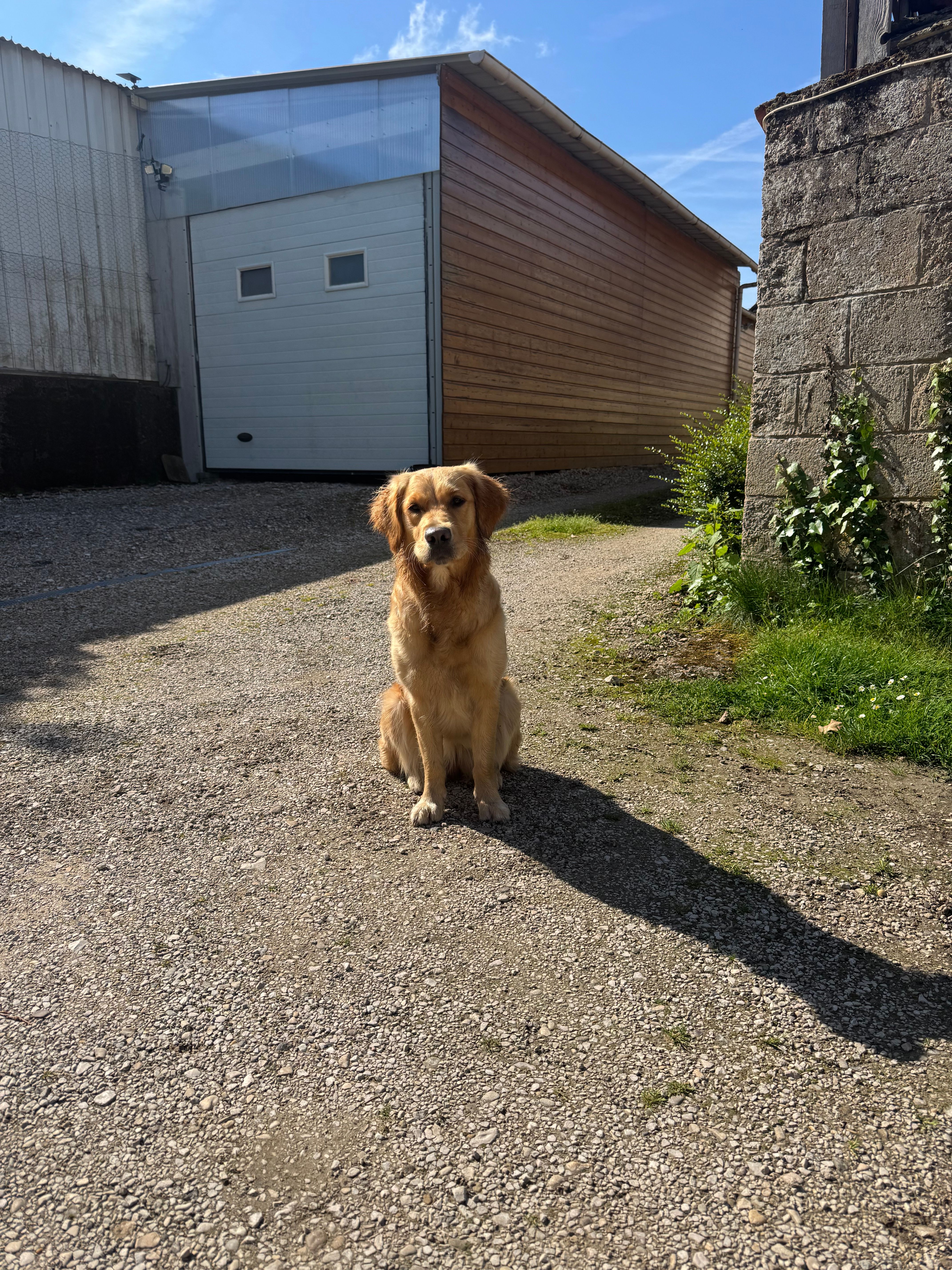 image-6
