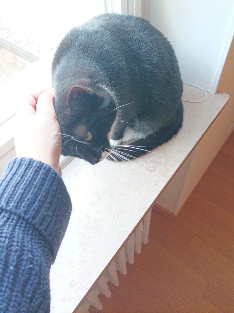 image-9