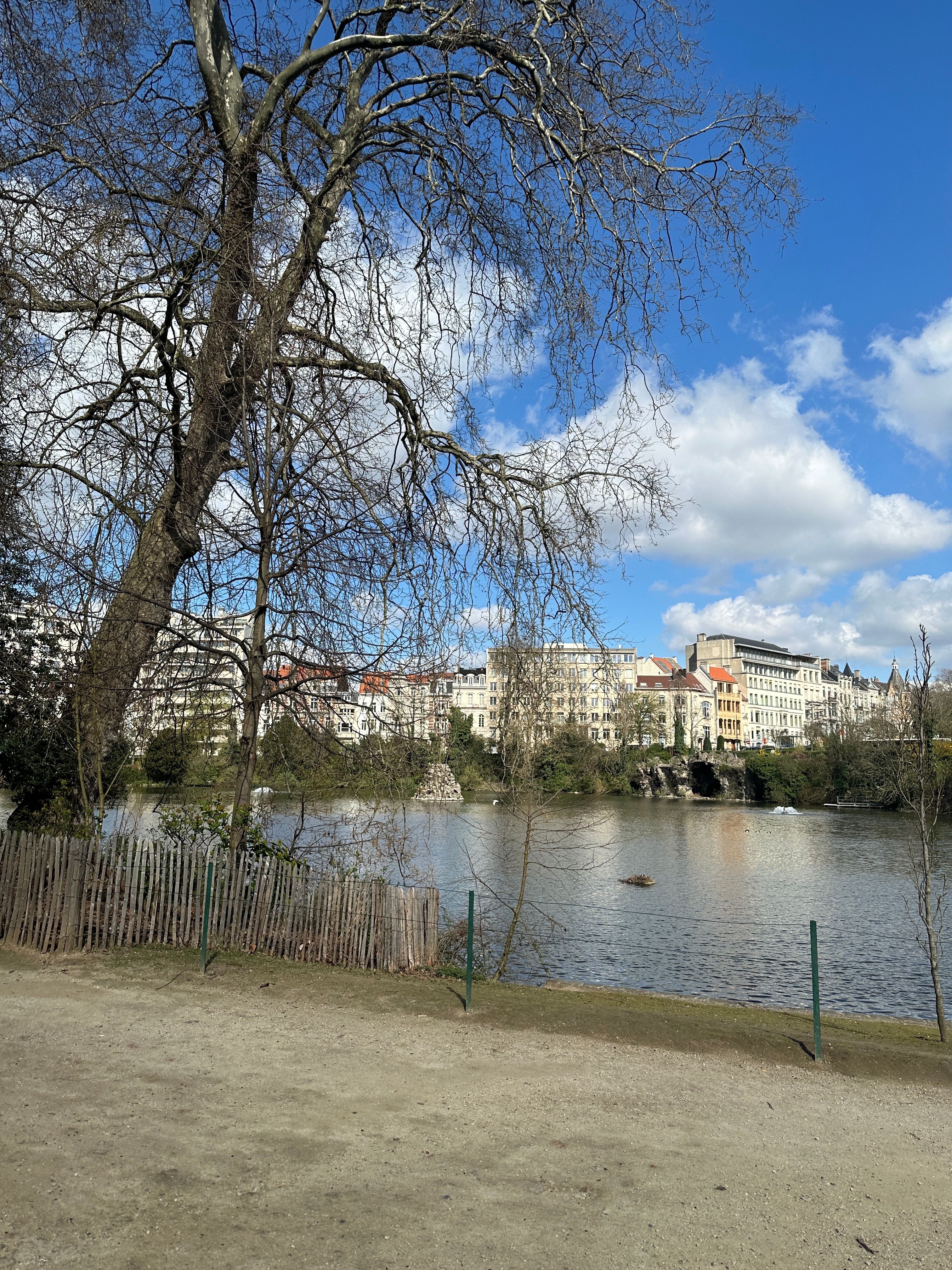 image-17