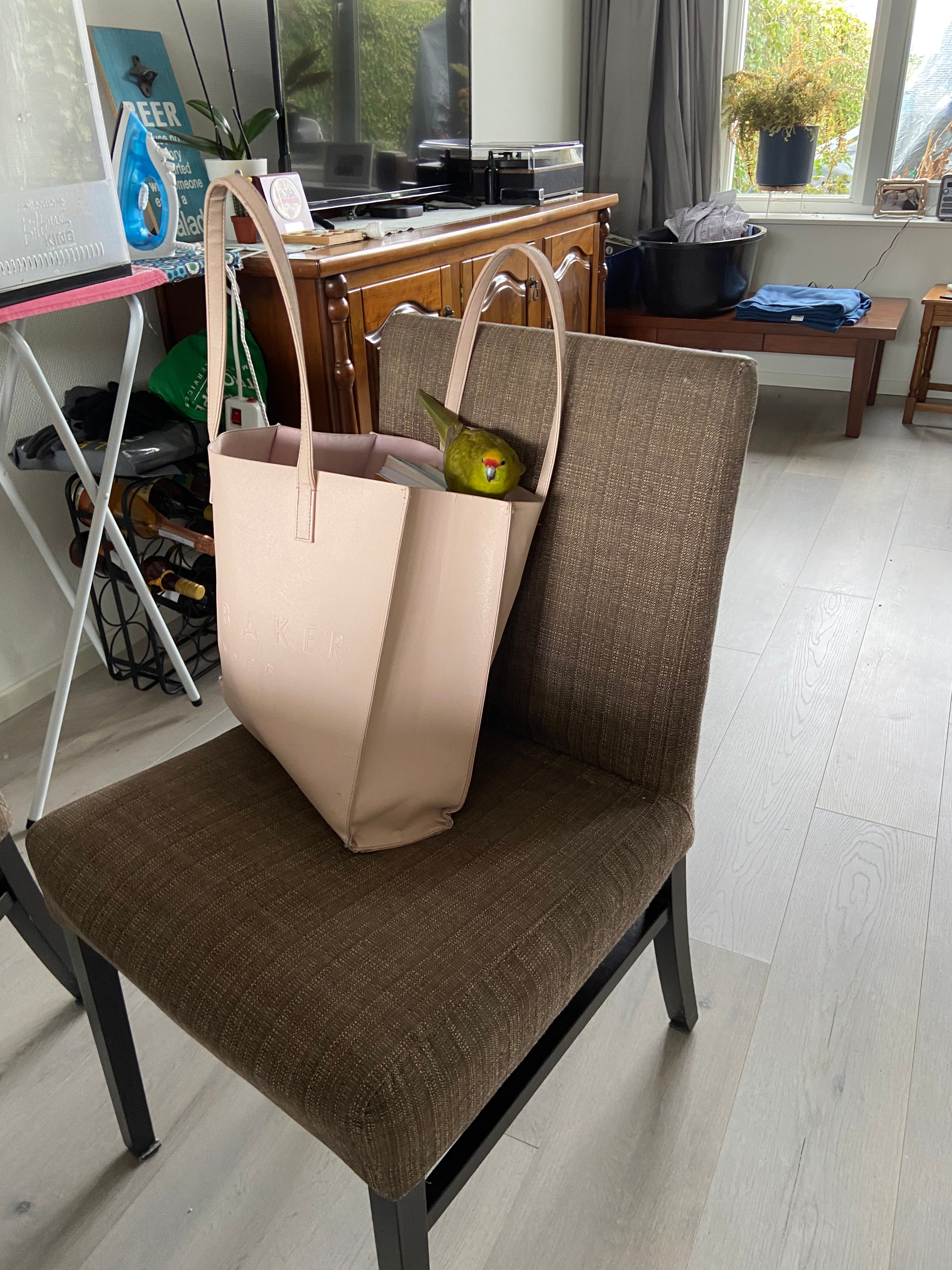 image-8