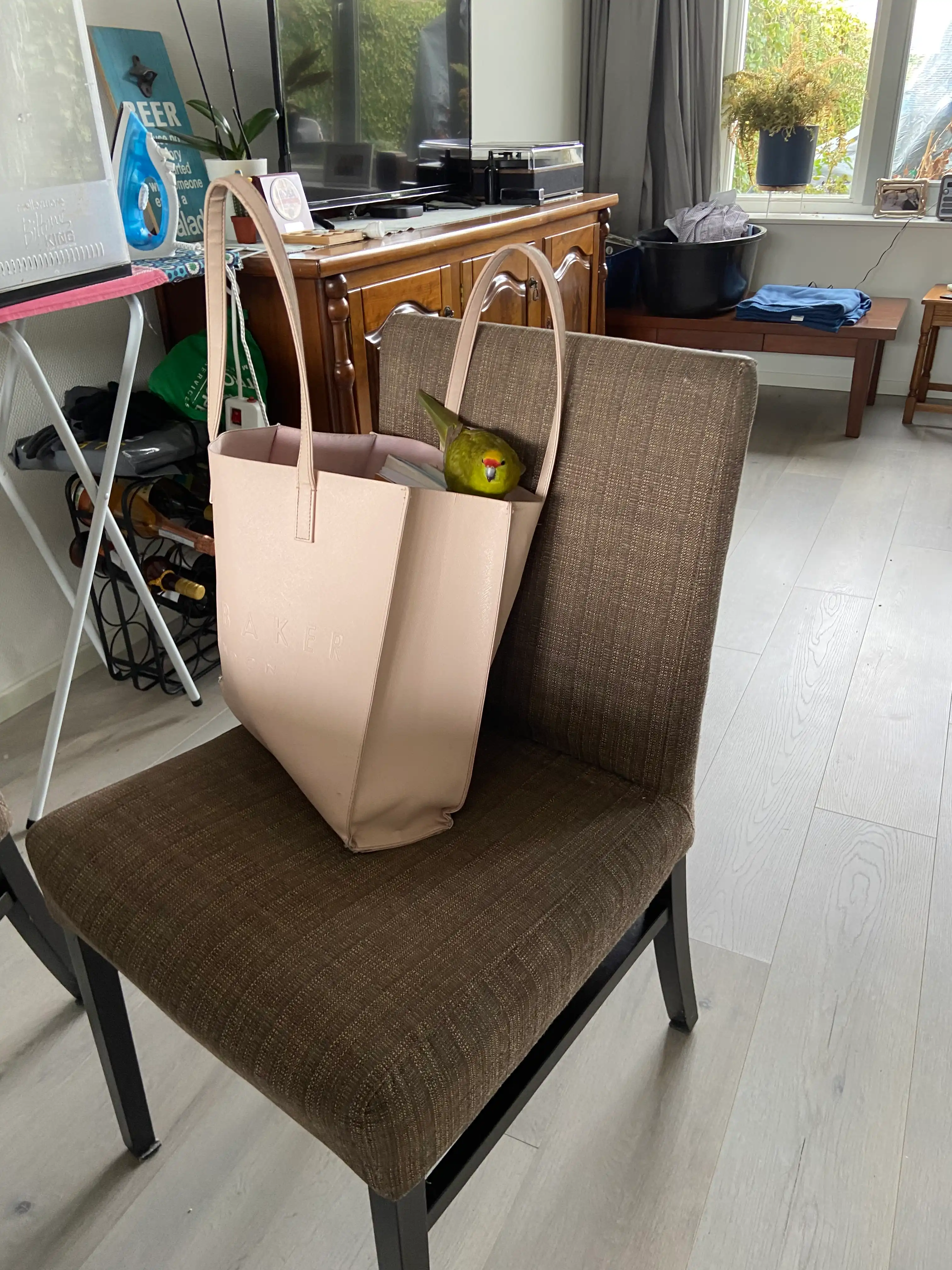 image-8