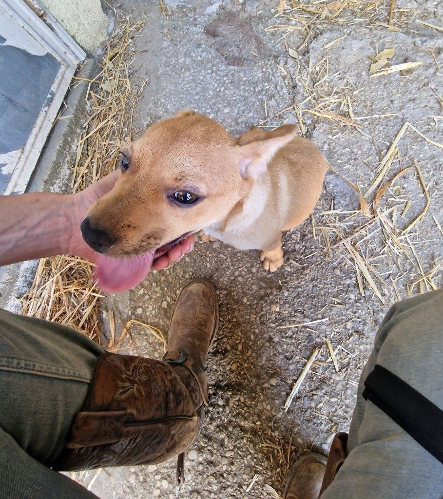 image-7