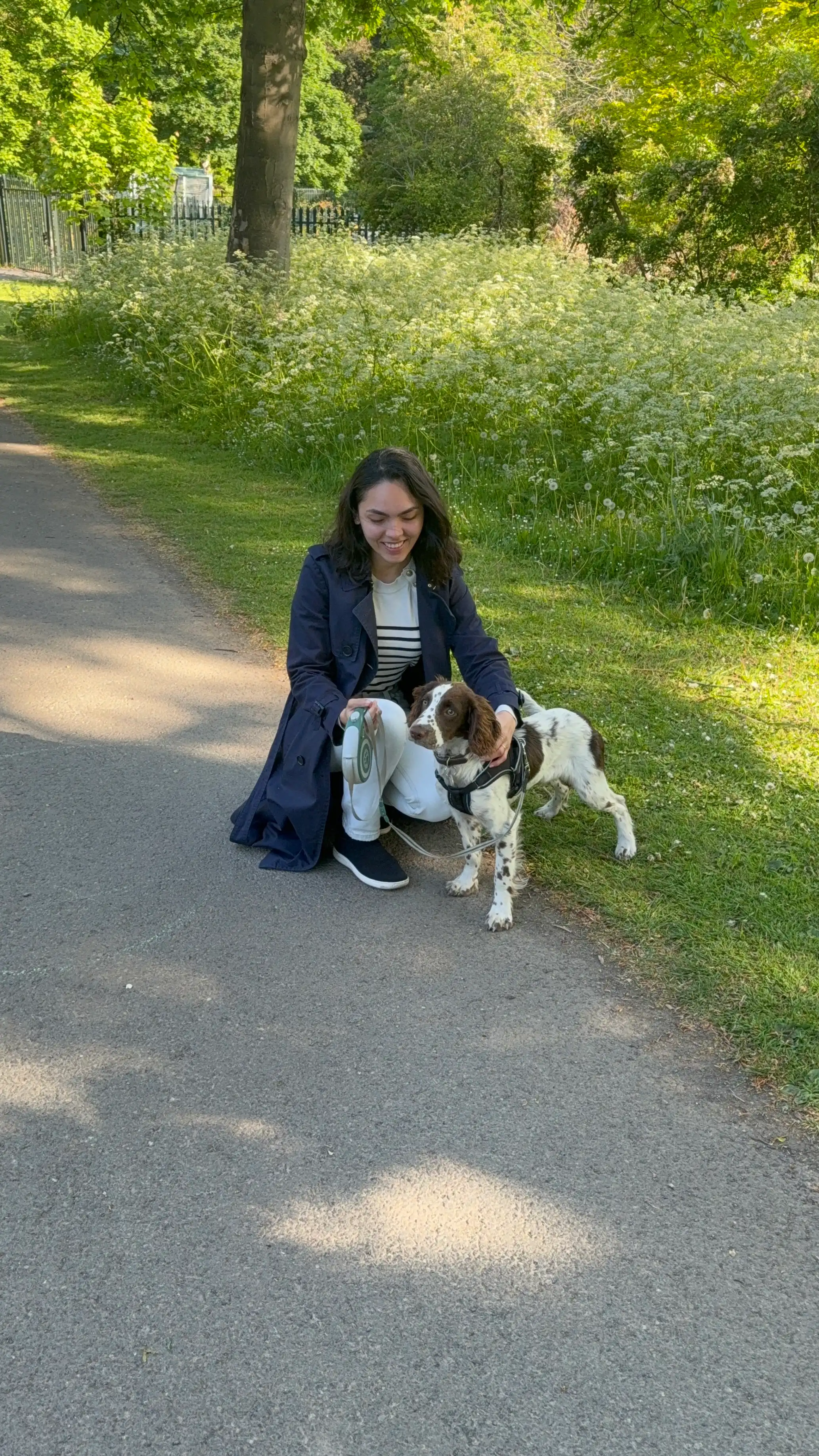 image-25