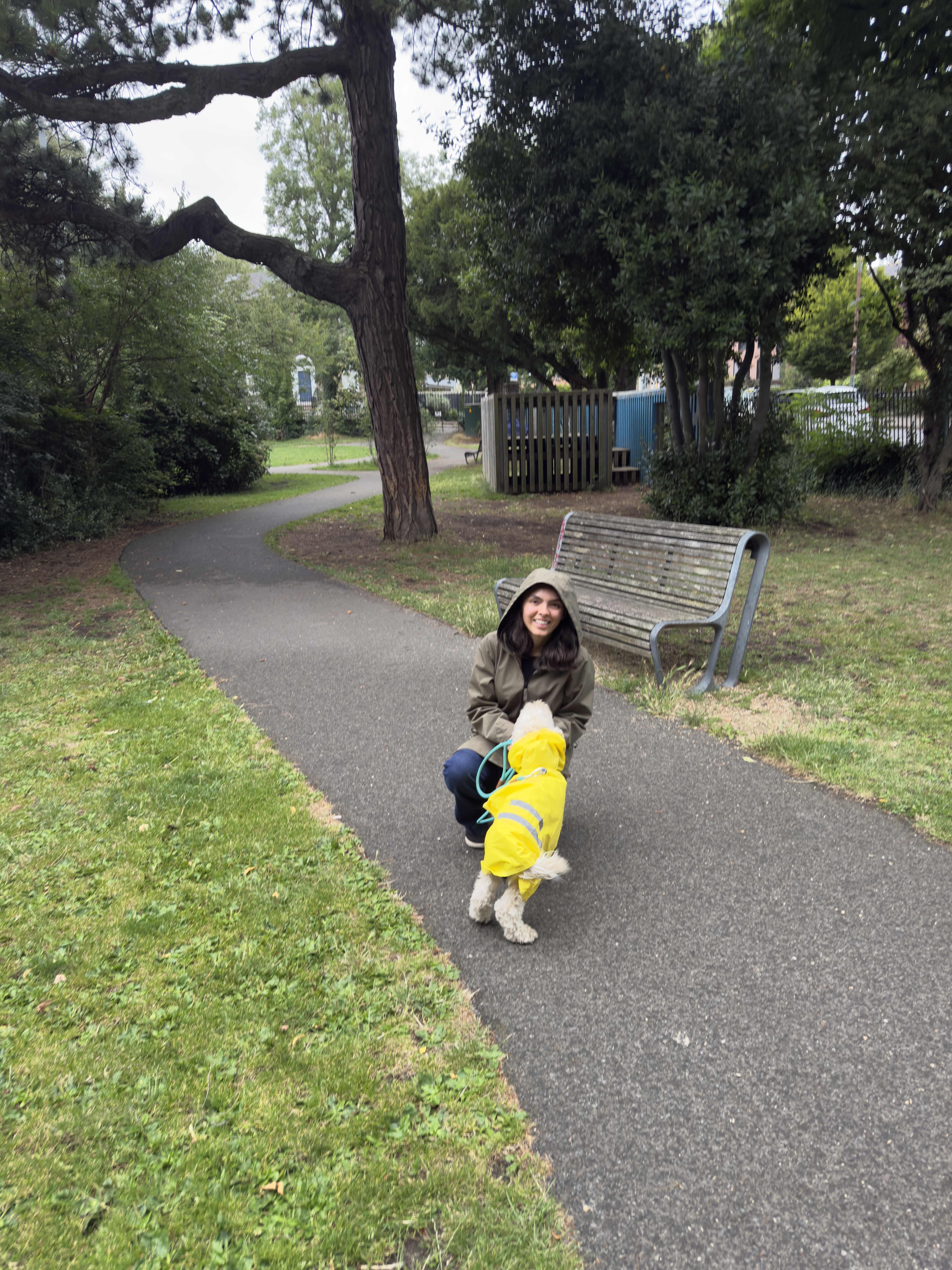 image-44