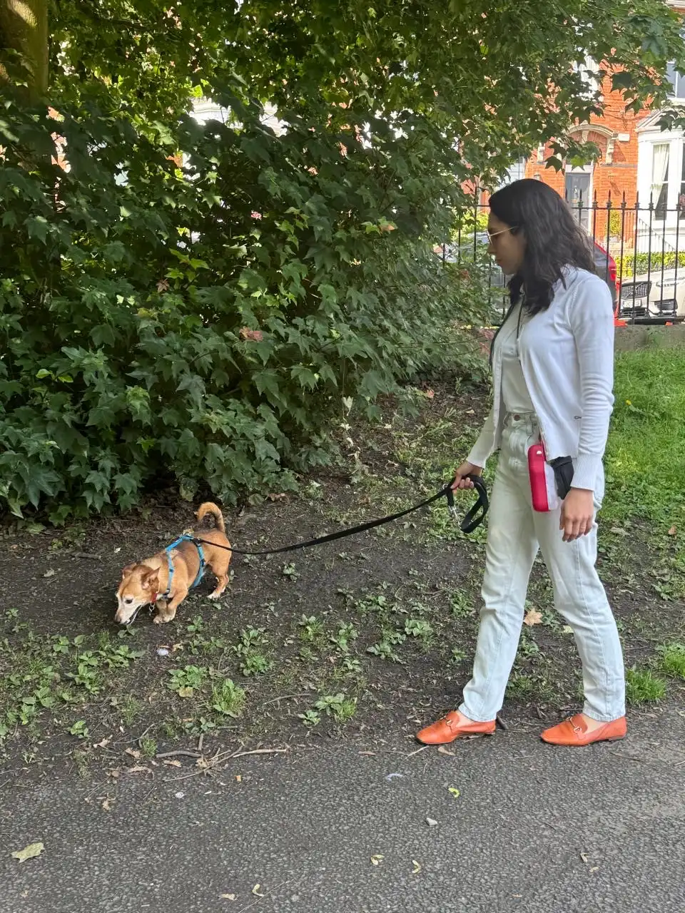 image-43