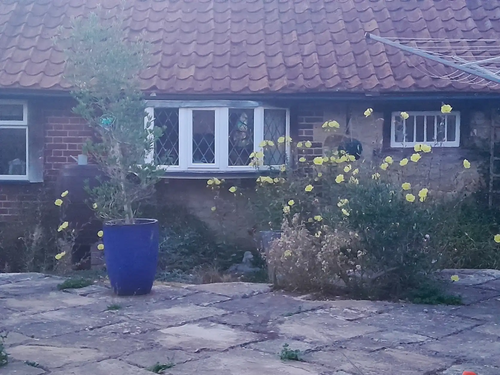 image-16