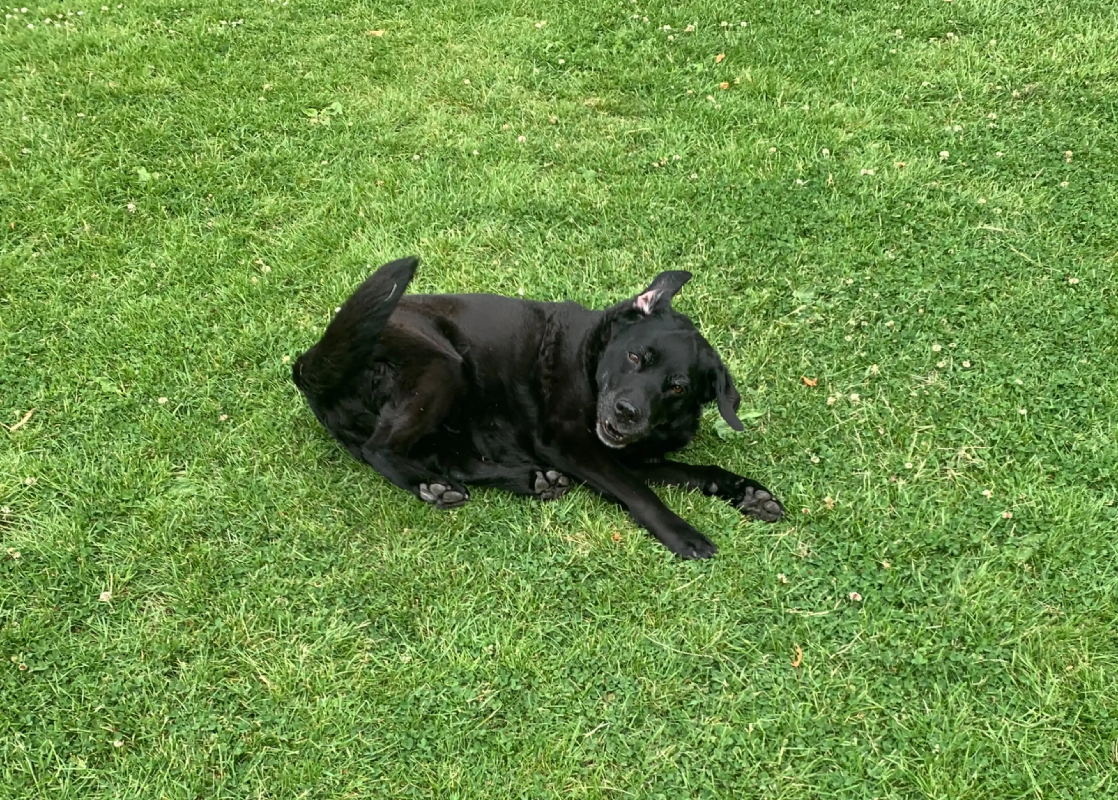 image-5