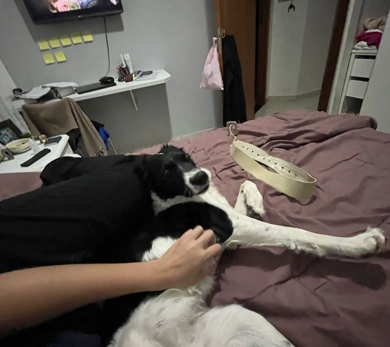 image-7