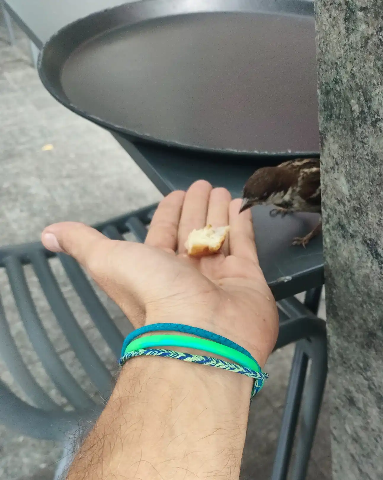 image-18