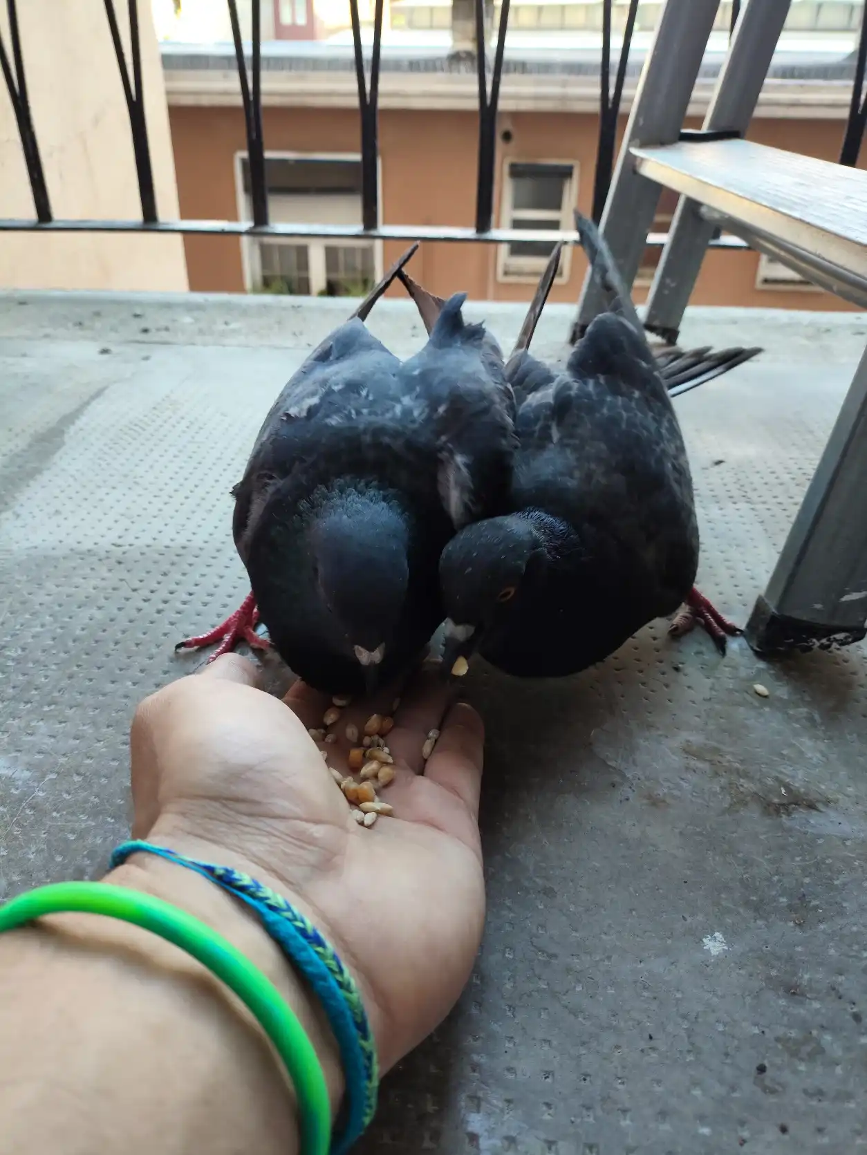 image-16